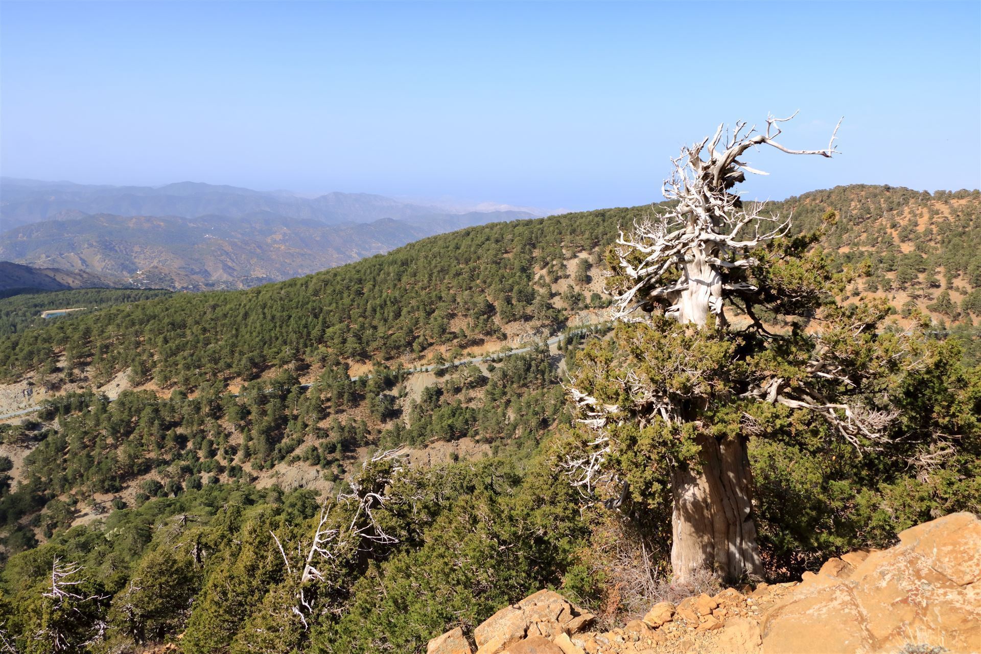 Troodos Berge in Zypern