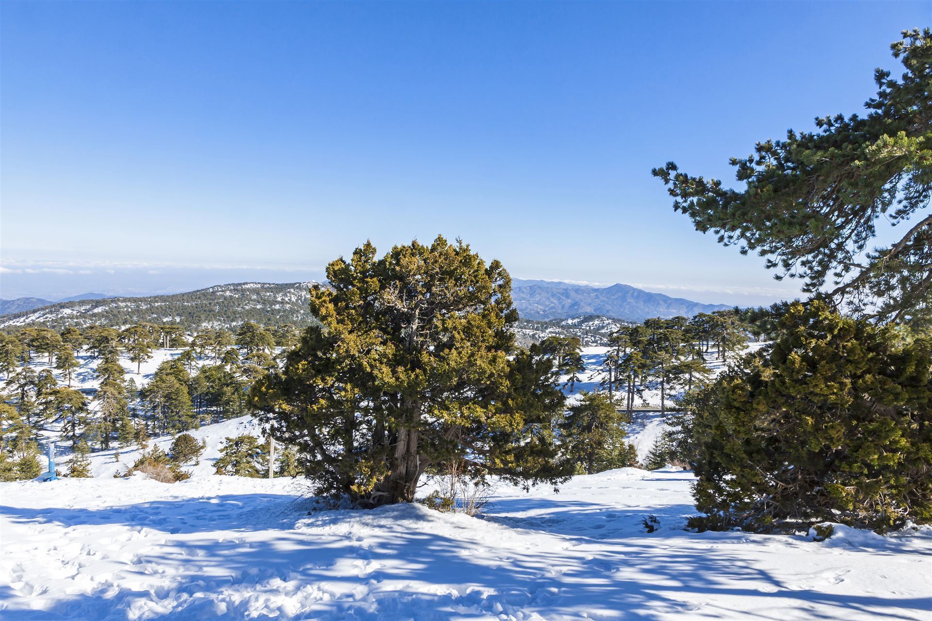 Winterlandschaft im Troodos-Gebirge