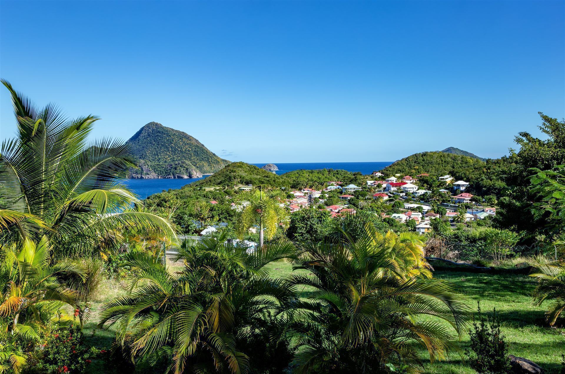 Les Saintes mit Palmen