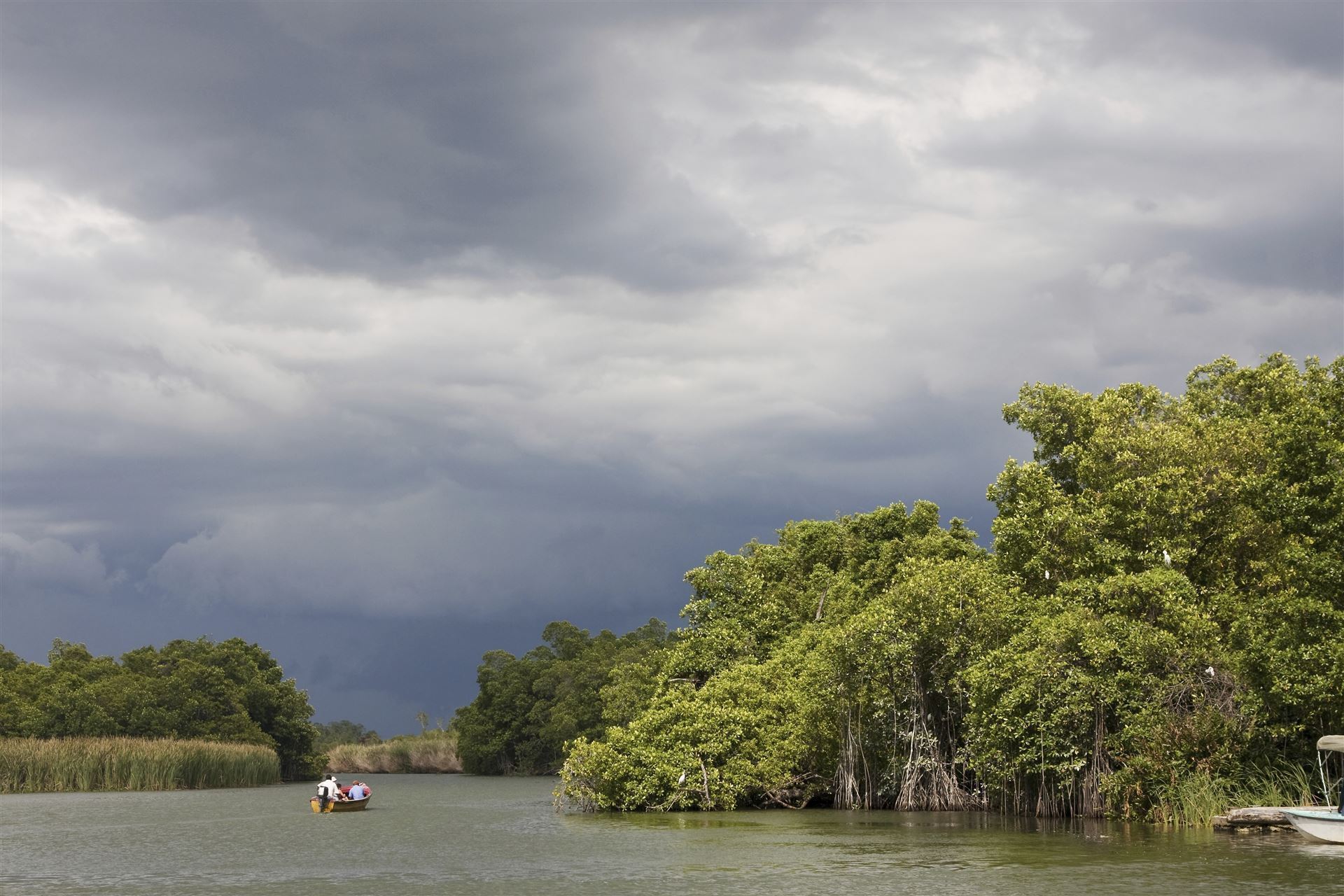 Black River