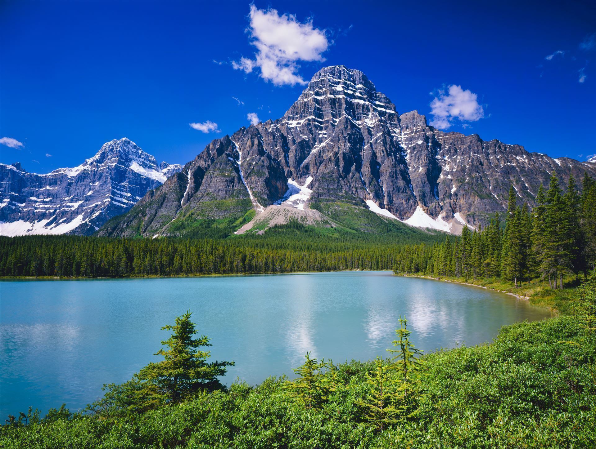 Rockies