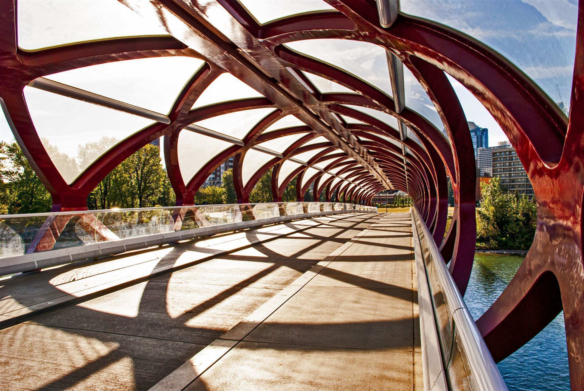 Peace Bridge in Calgary