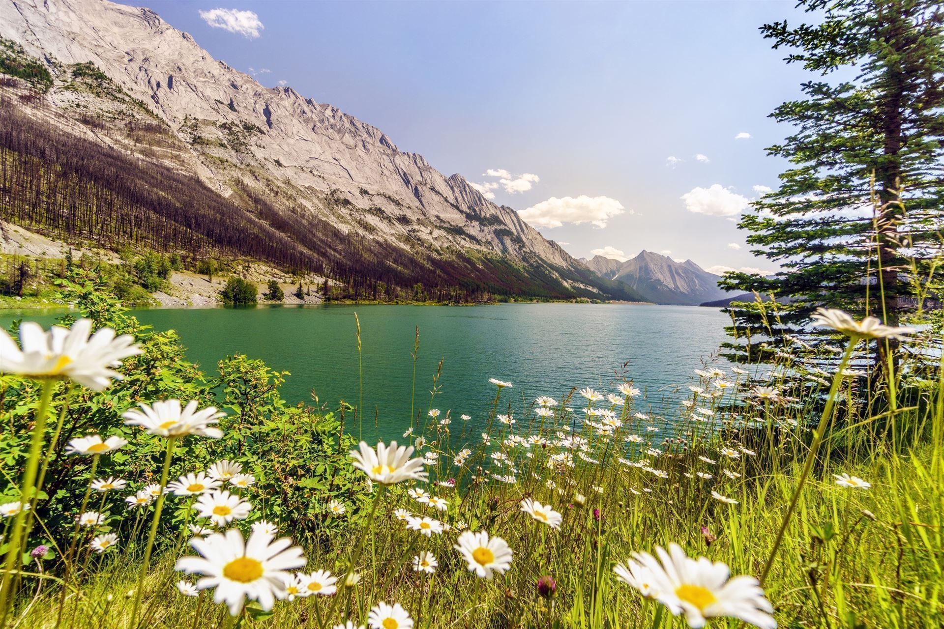 Maligne Lake