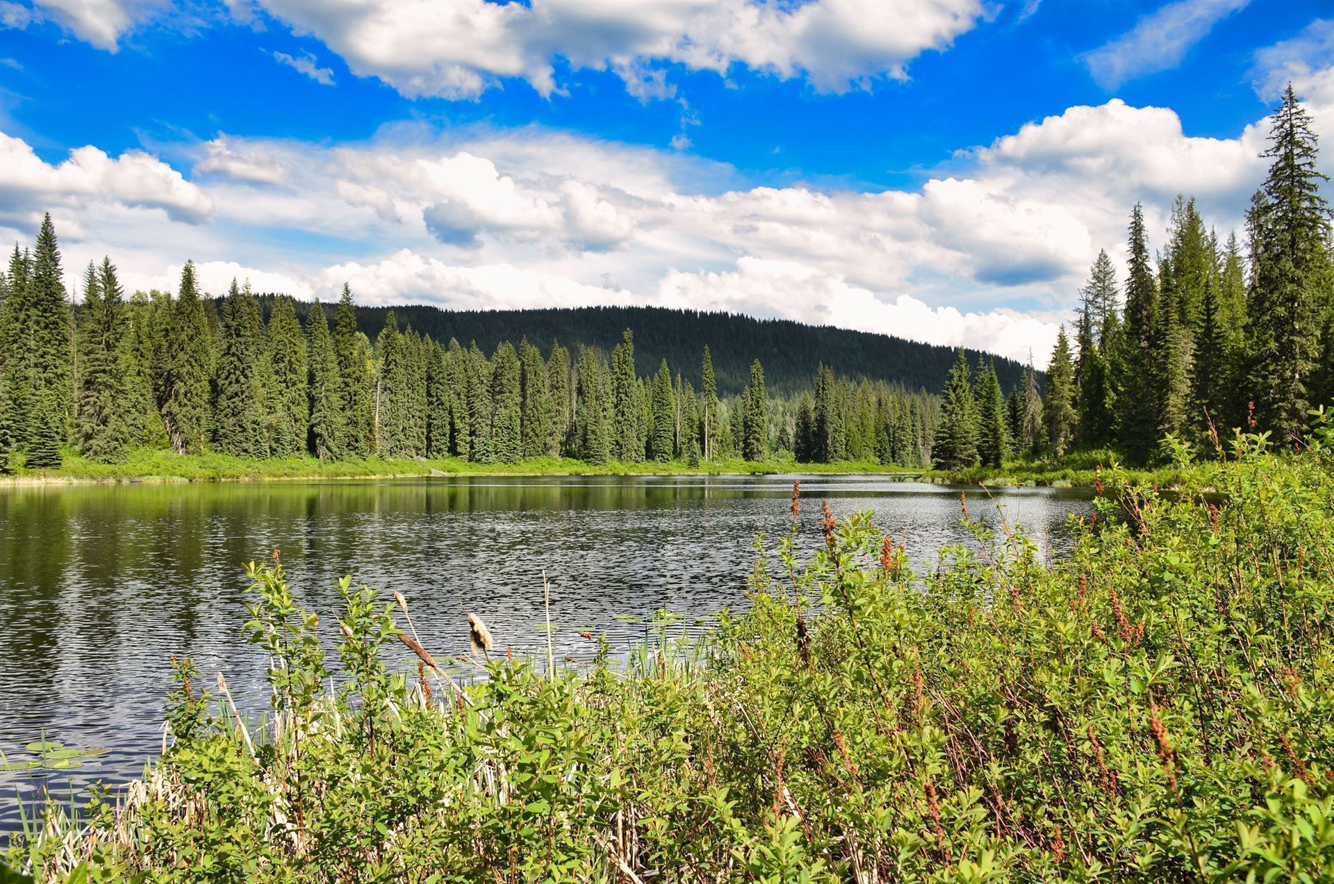 Wells Gray Provincial Park