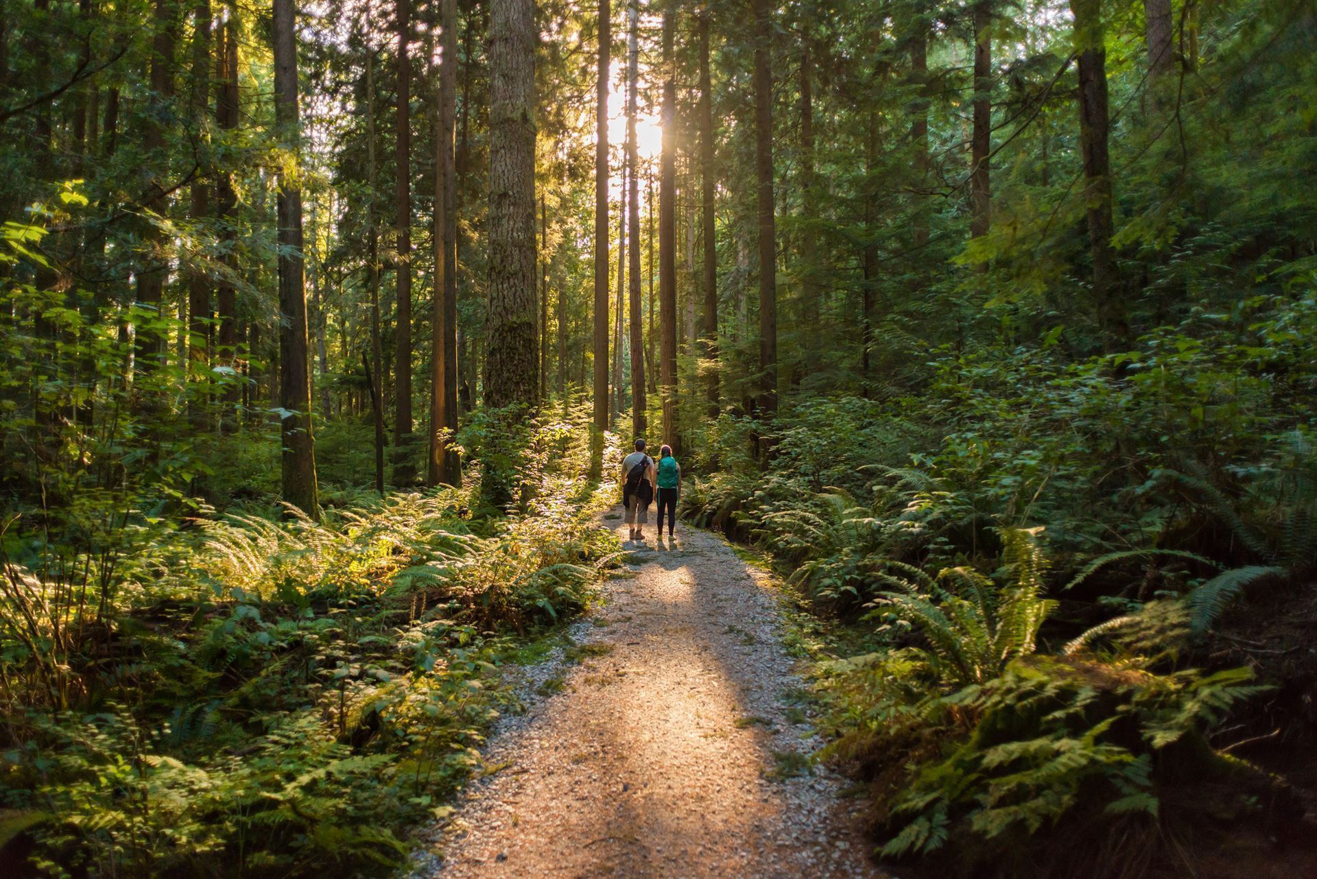 Mt. Seymour Provincial Park bei North Vancouver