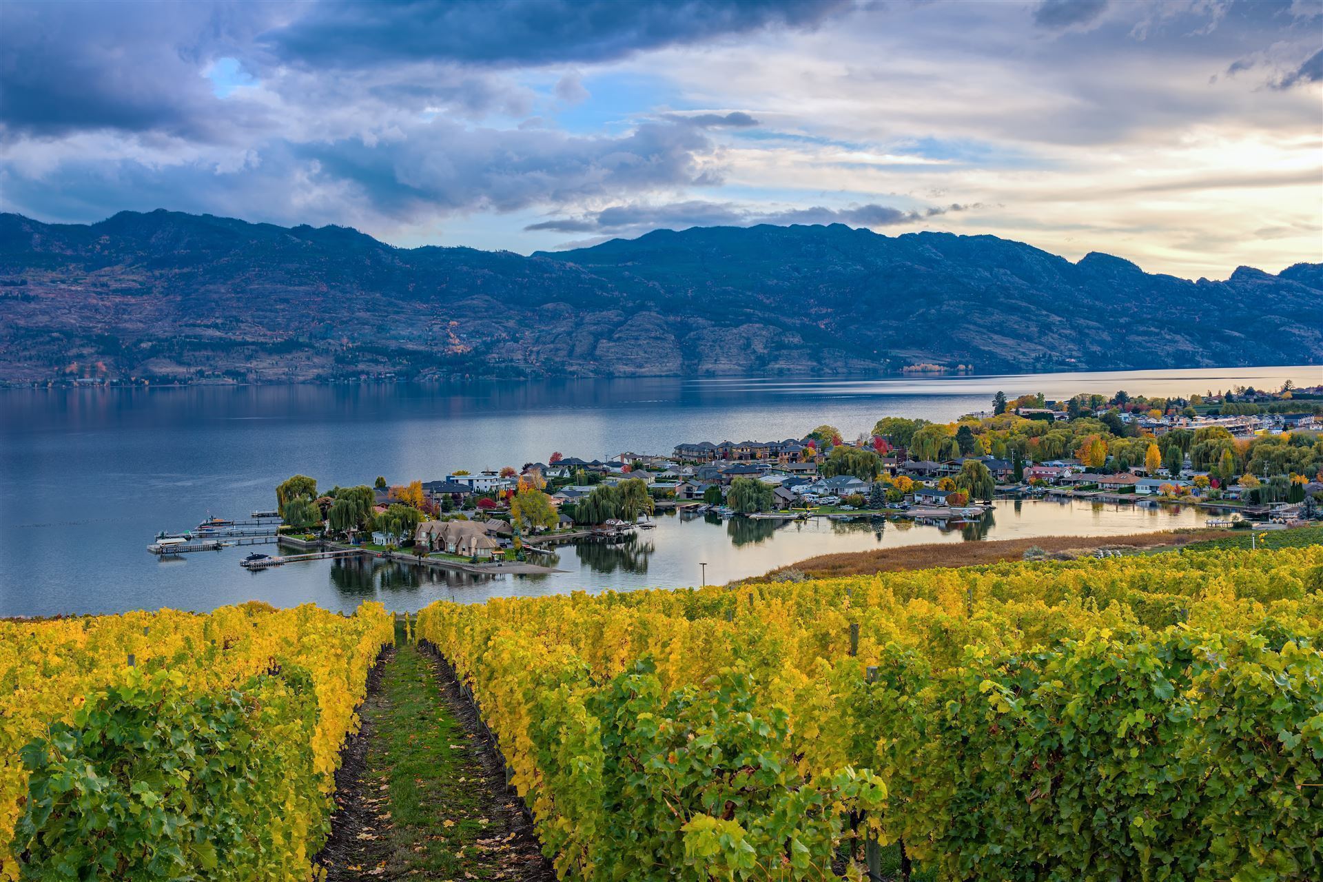 Weinanbau am Okanagan Lake