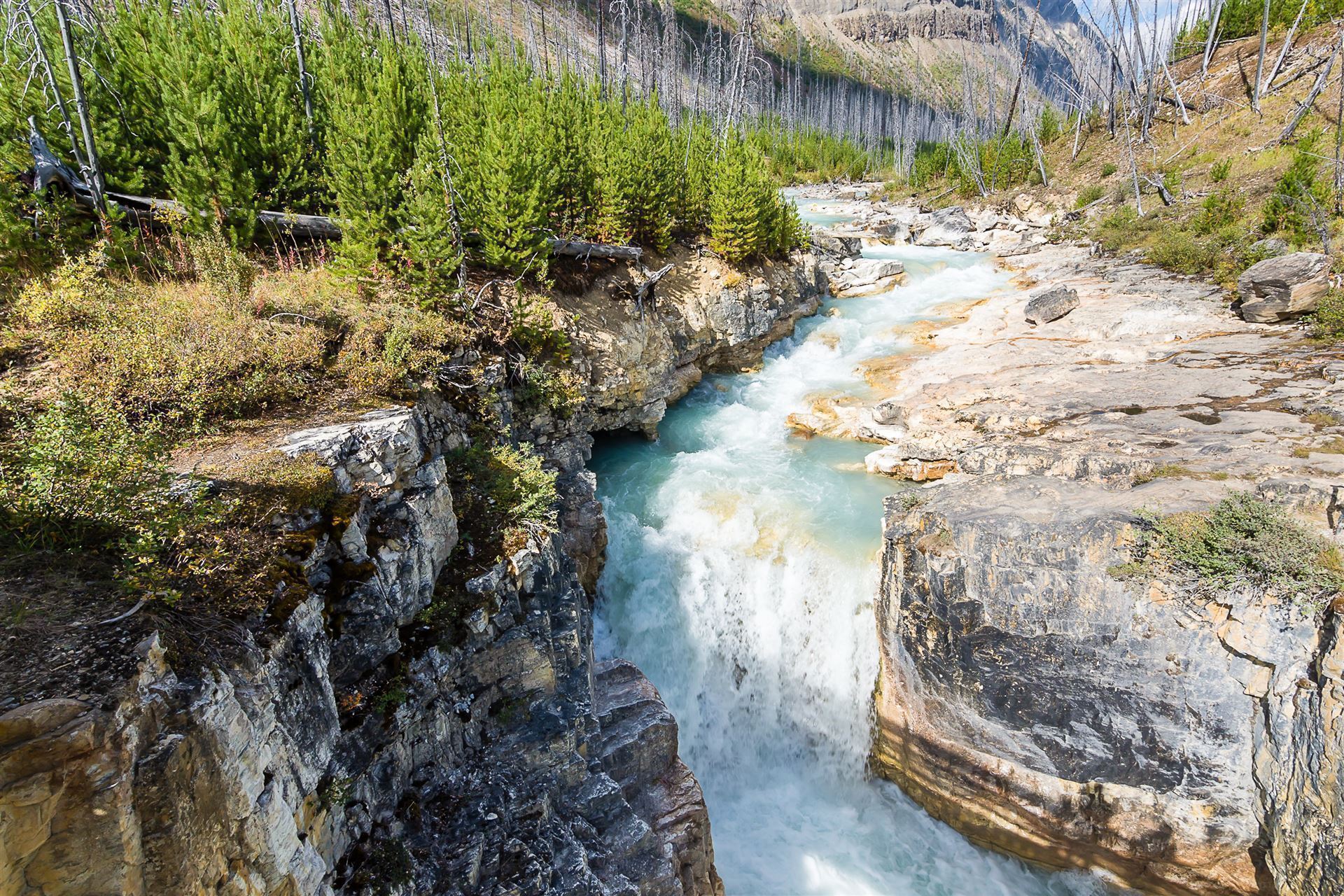 Wasserfall im Kootenay Nationalpark