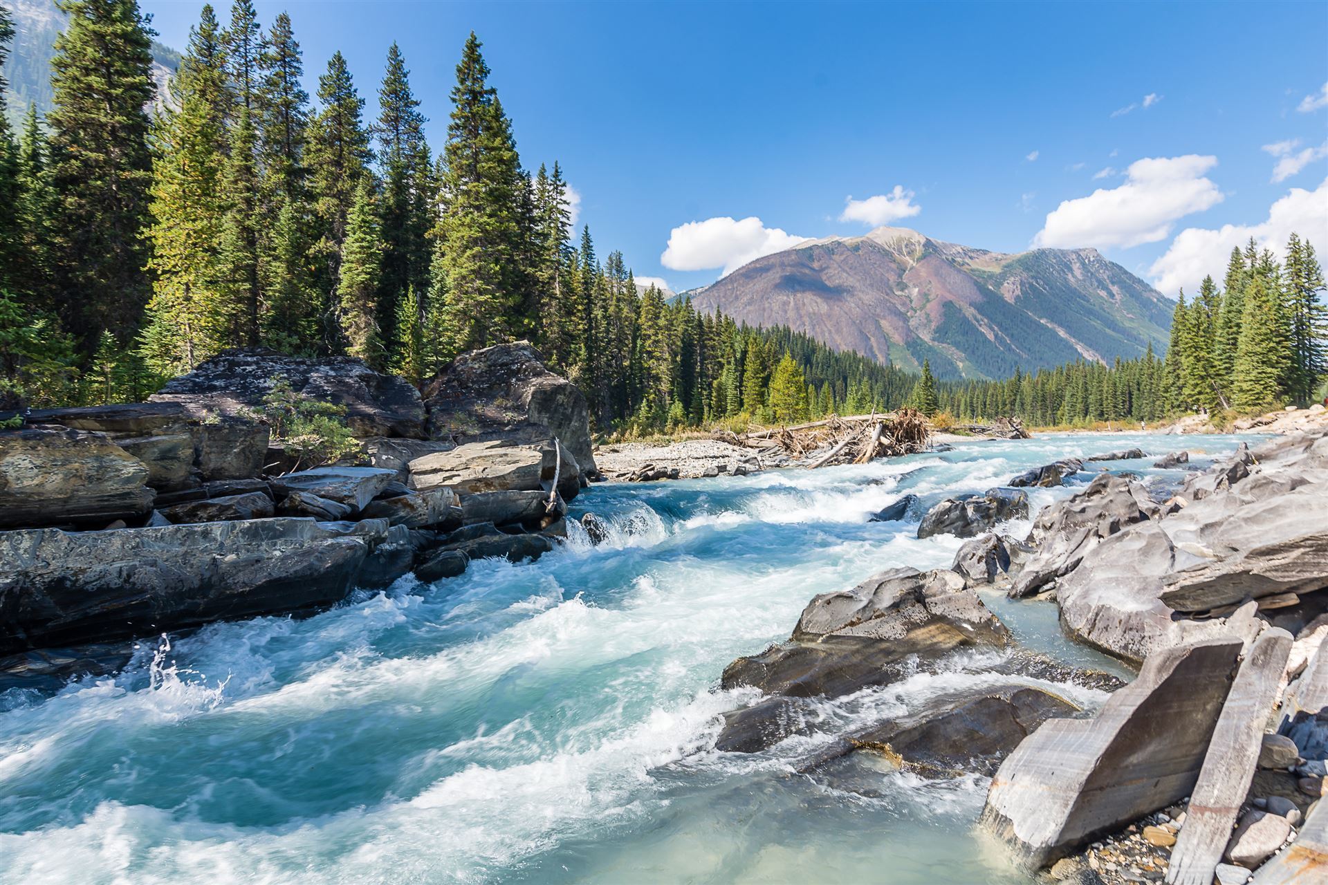 Kootenay River