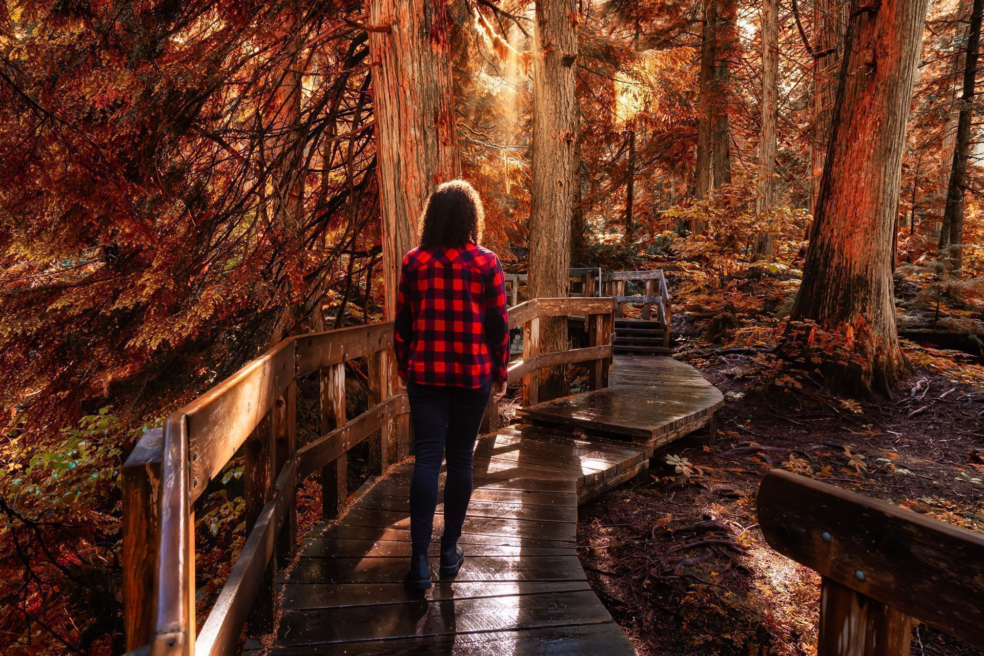 Mount Revelstoke Nationalpark im Herbst