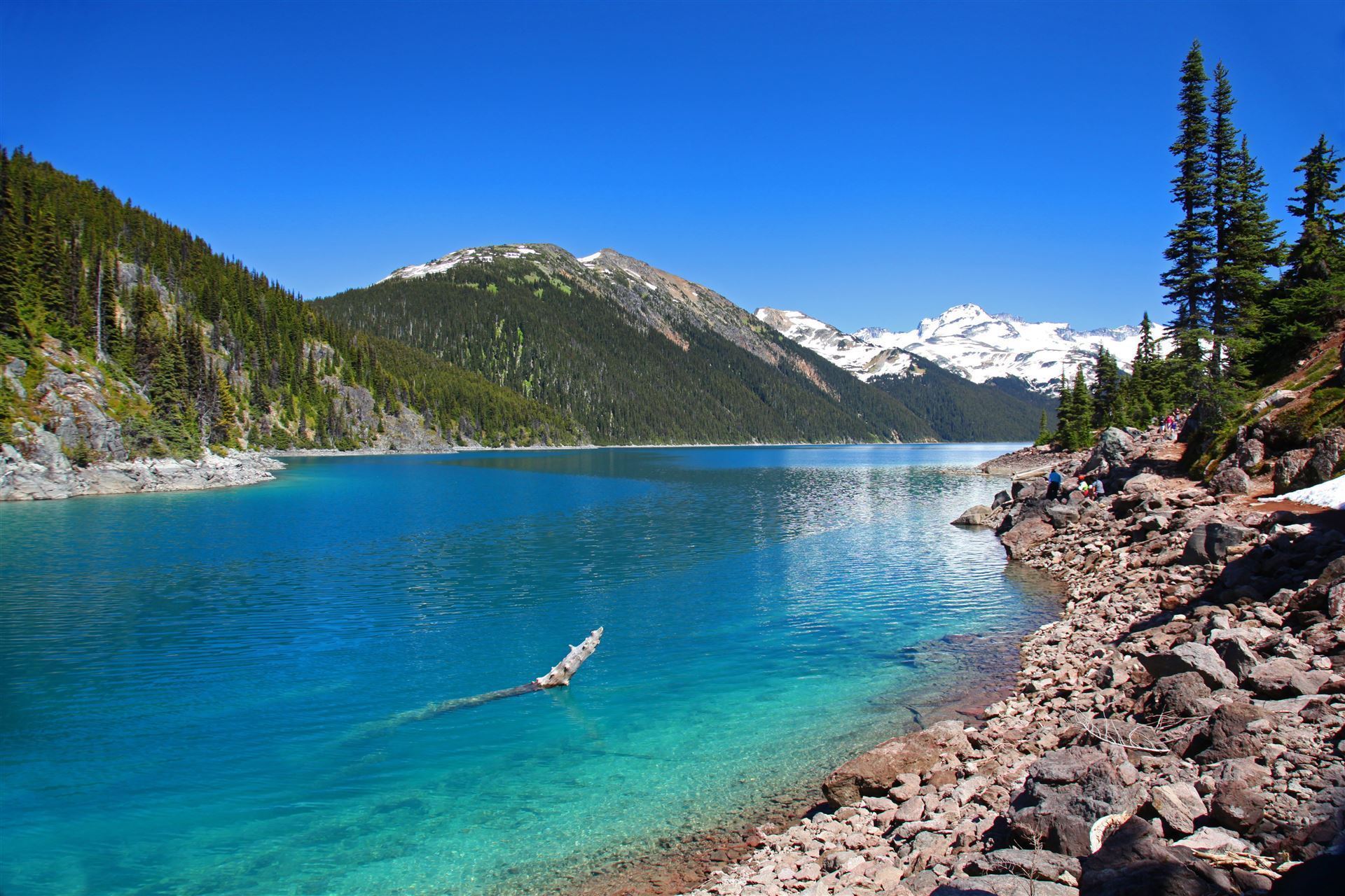 Garibaldi Lake