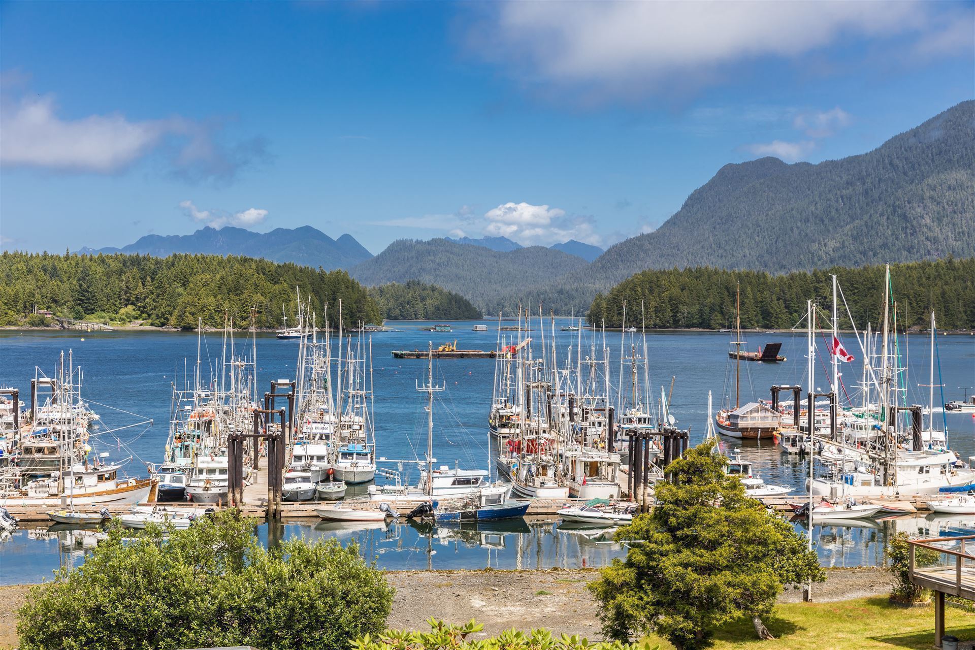 Hafen in Tofino
