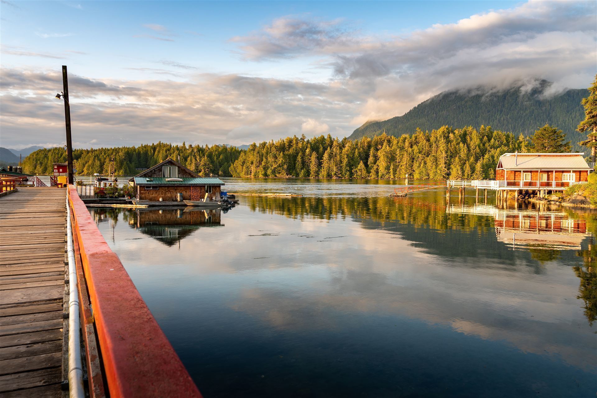 Tofino