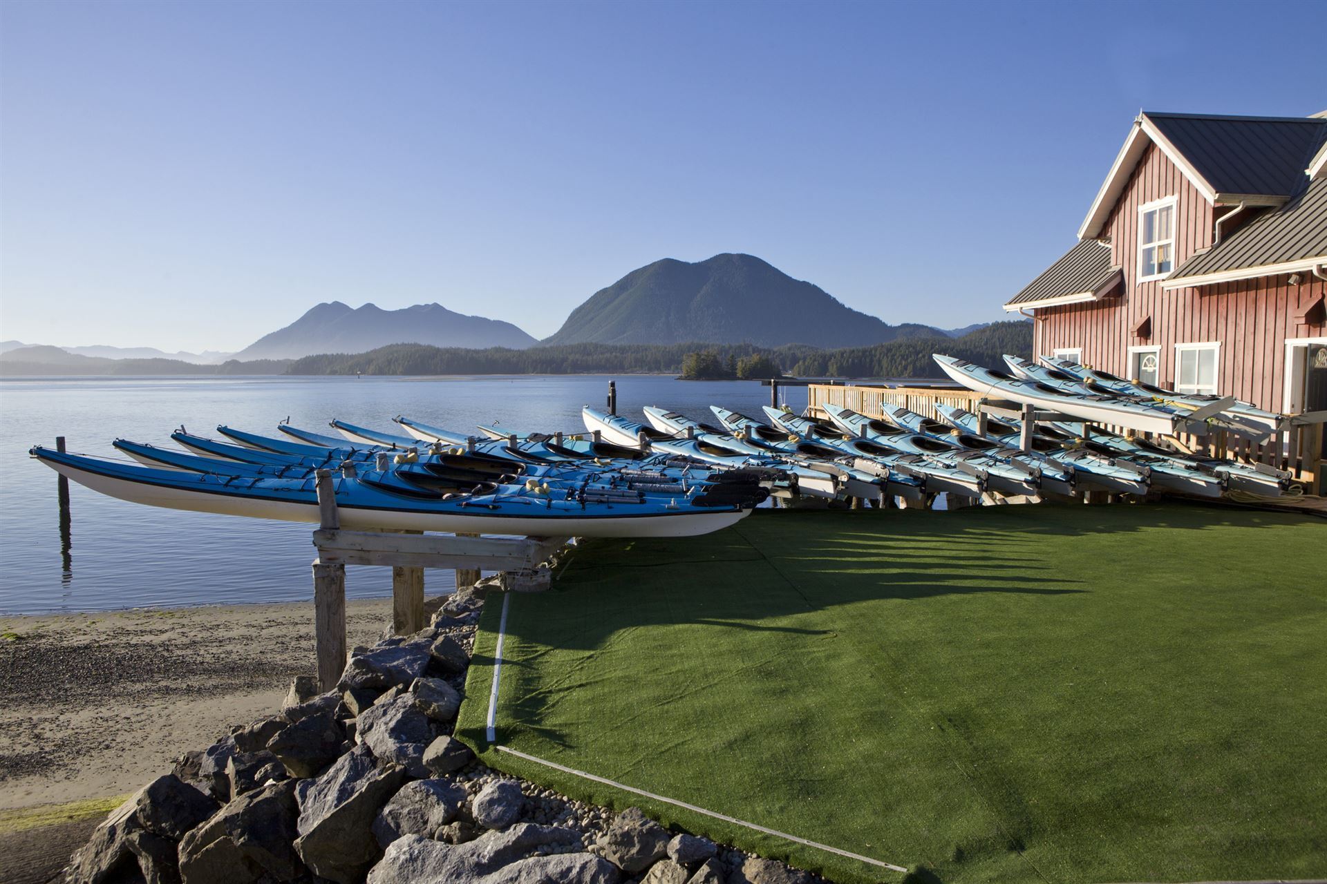 Tofino