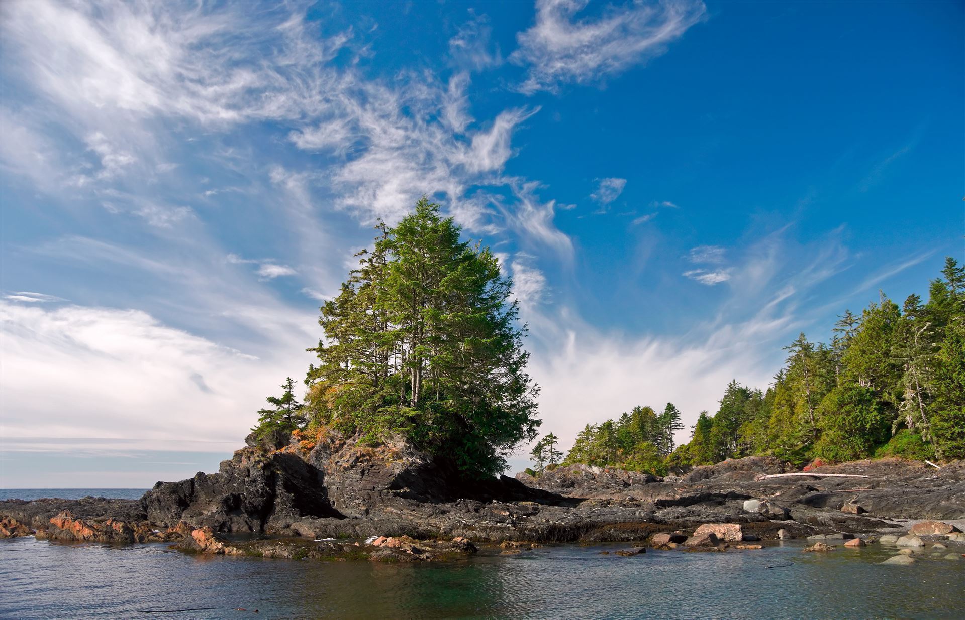 Botanical Beach Provincial Park