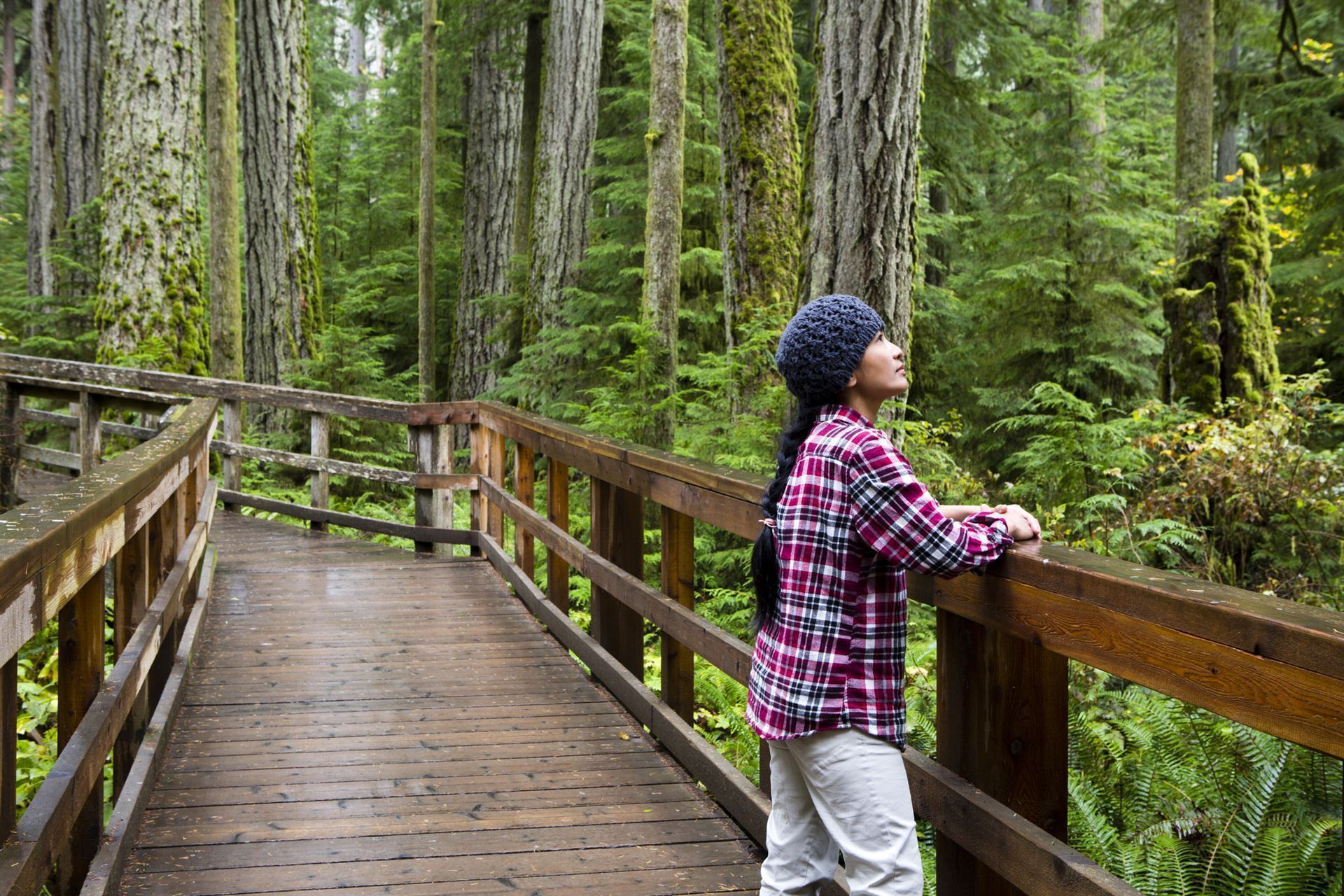 MacMillan Provincial Park