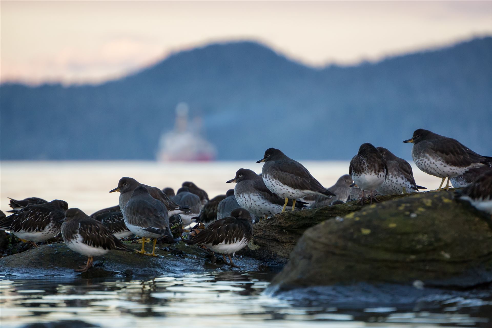 Port Hardy