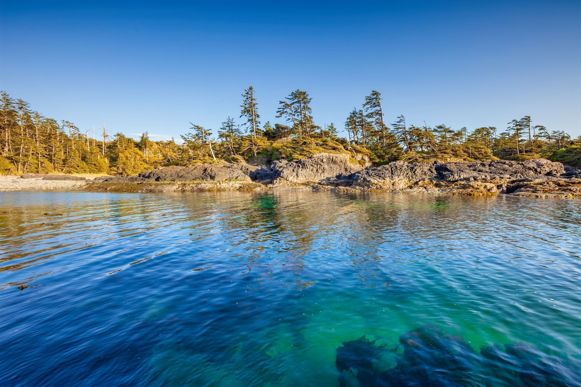 Pacific Rim Nationalpark