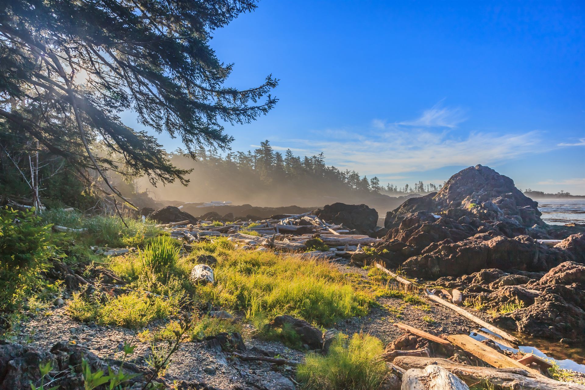 Wild Pacific Trail