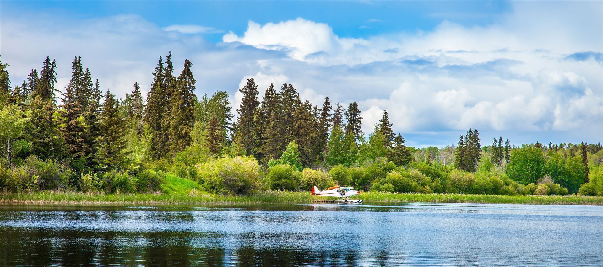 Dugan See in Williams Lake