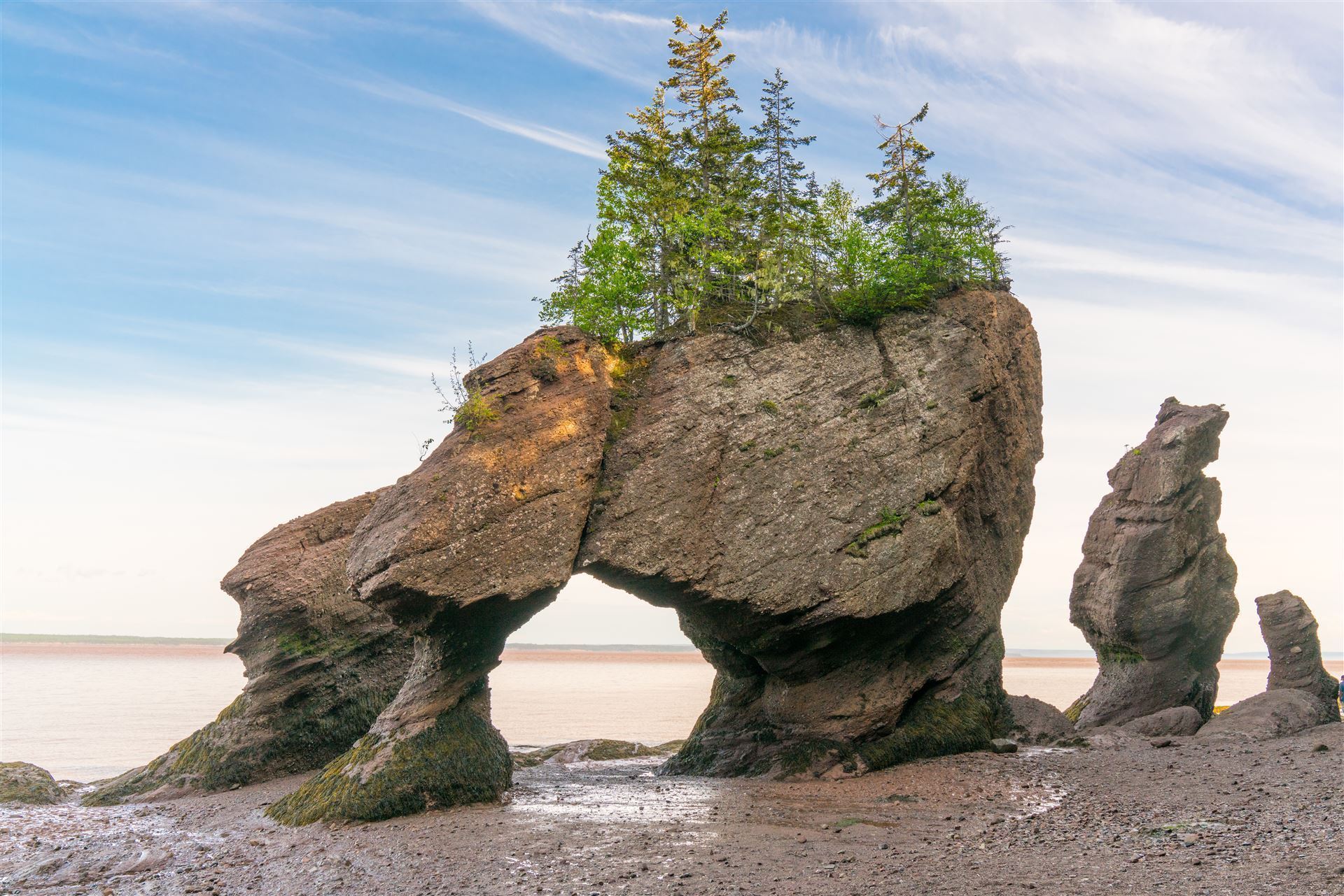 Hopewell Rocks