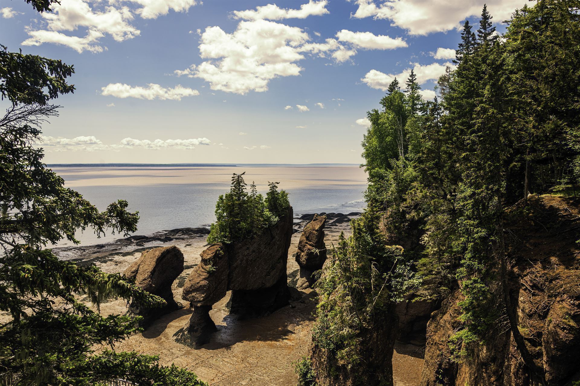 Hopewell Rocks