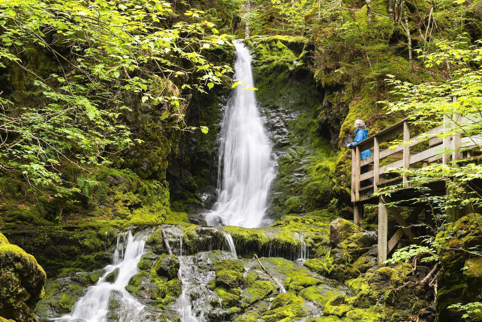 Wasserfälle im Bay-of-Fundy-Nationalpark