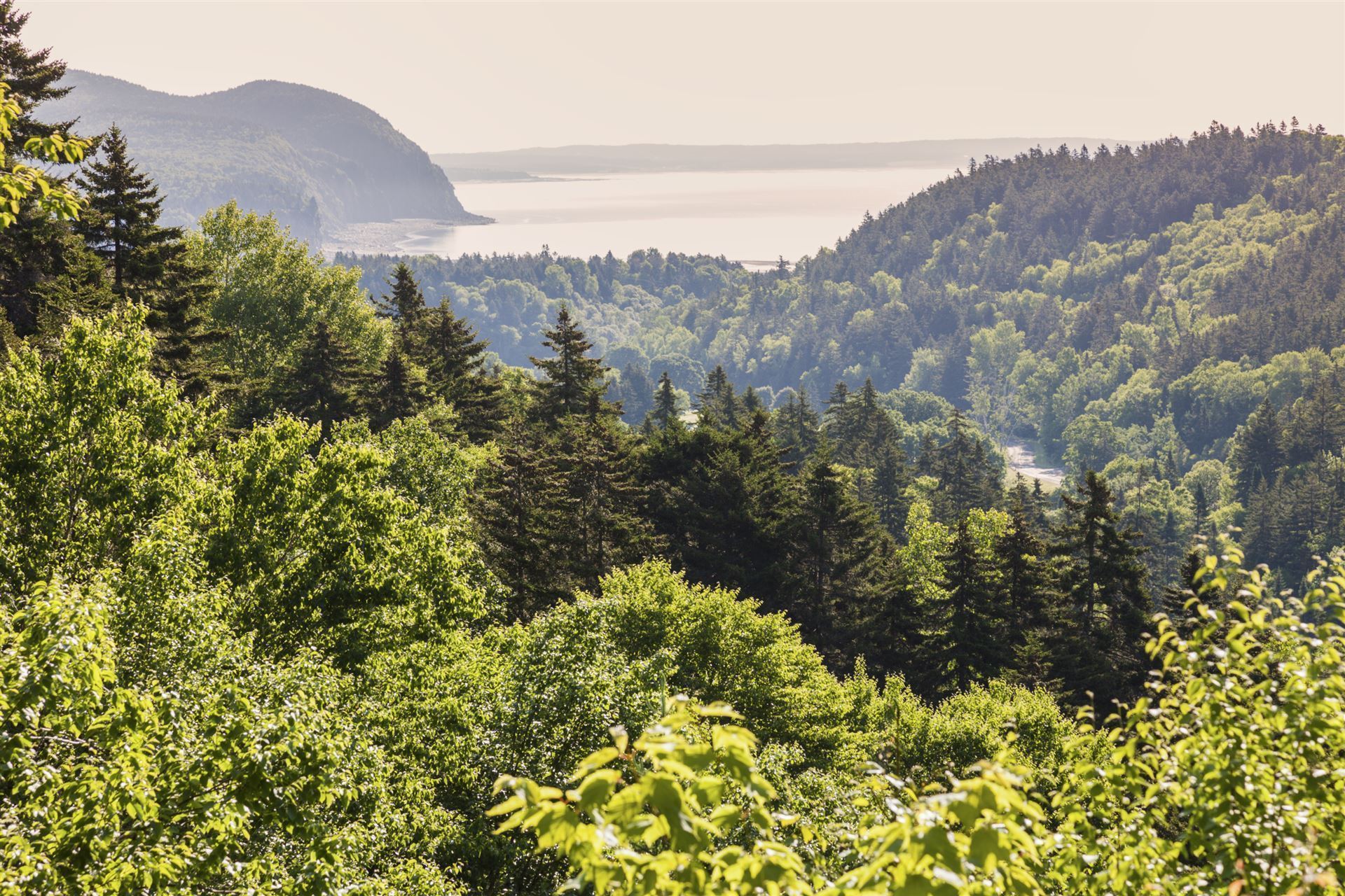 Bay-of-Fundy-Nationalpark
