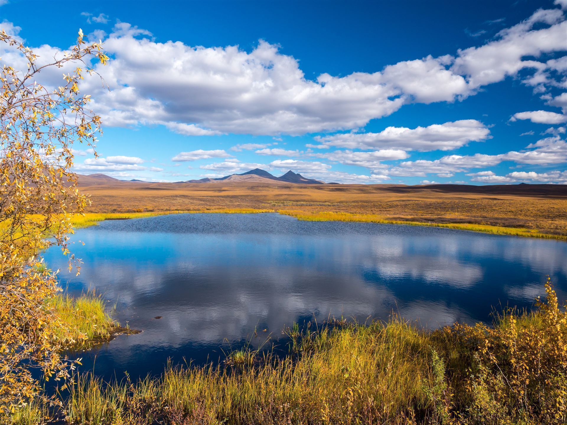 See am Dempster Highway