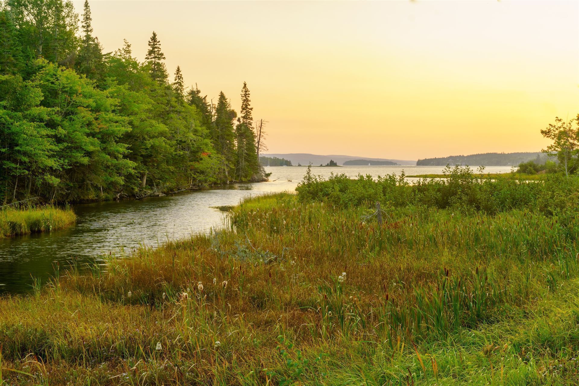 Fluss im Sonnenuntergang