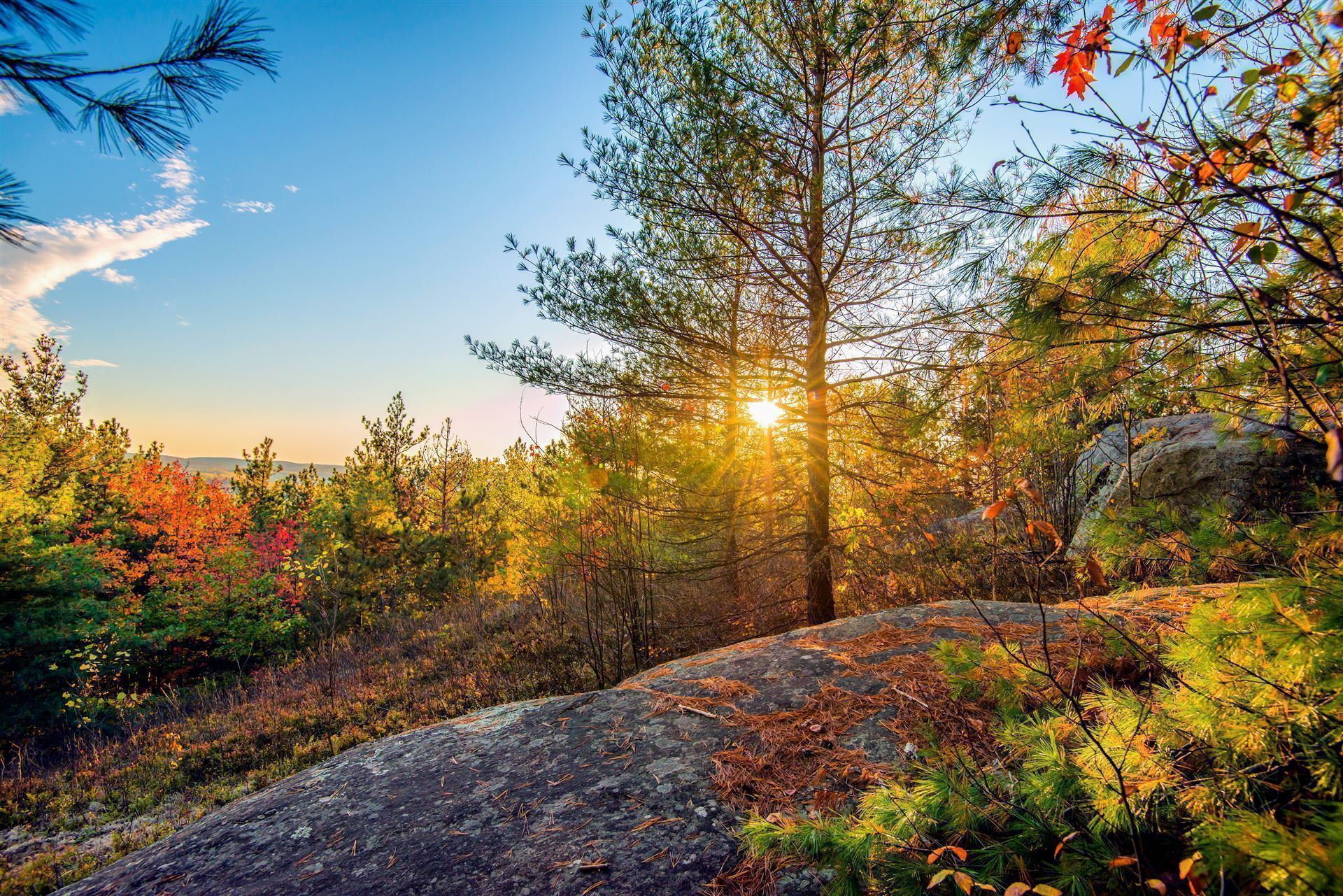 Algonquin Provincial Park