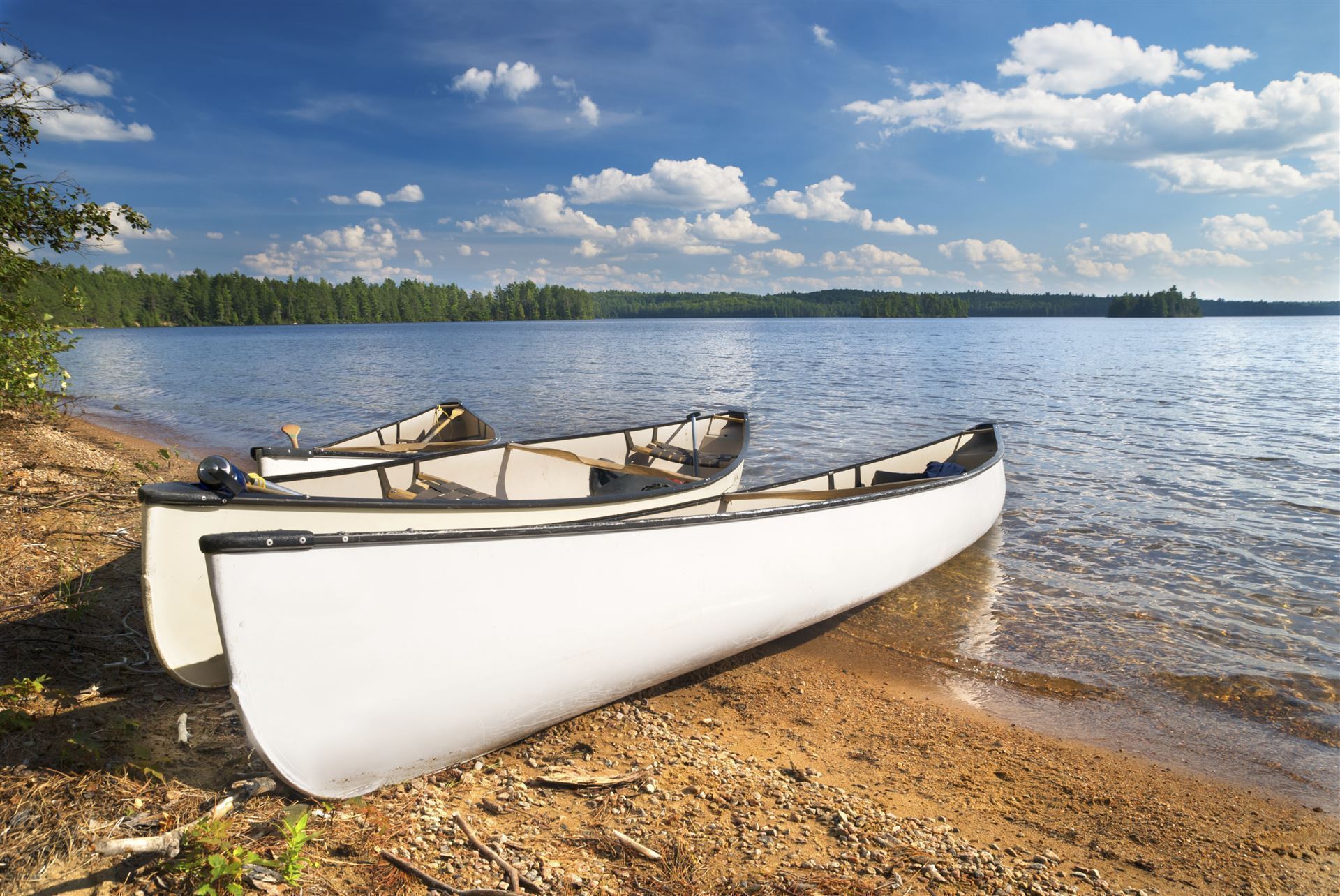 Kanus im Algonquin Provincial Park