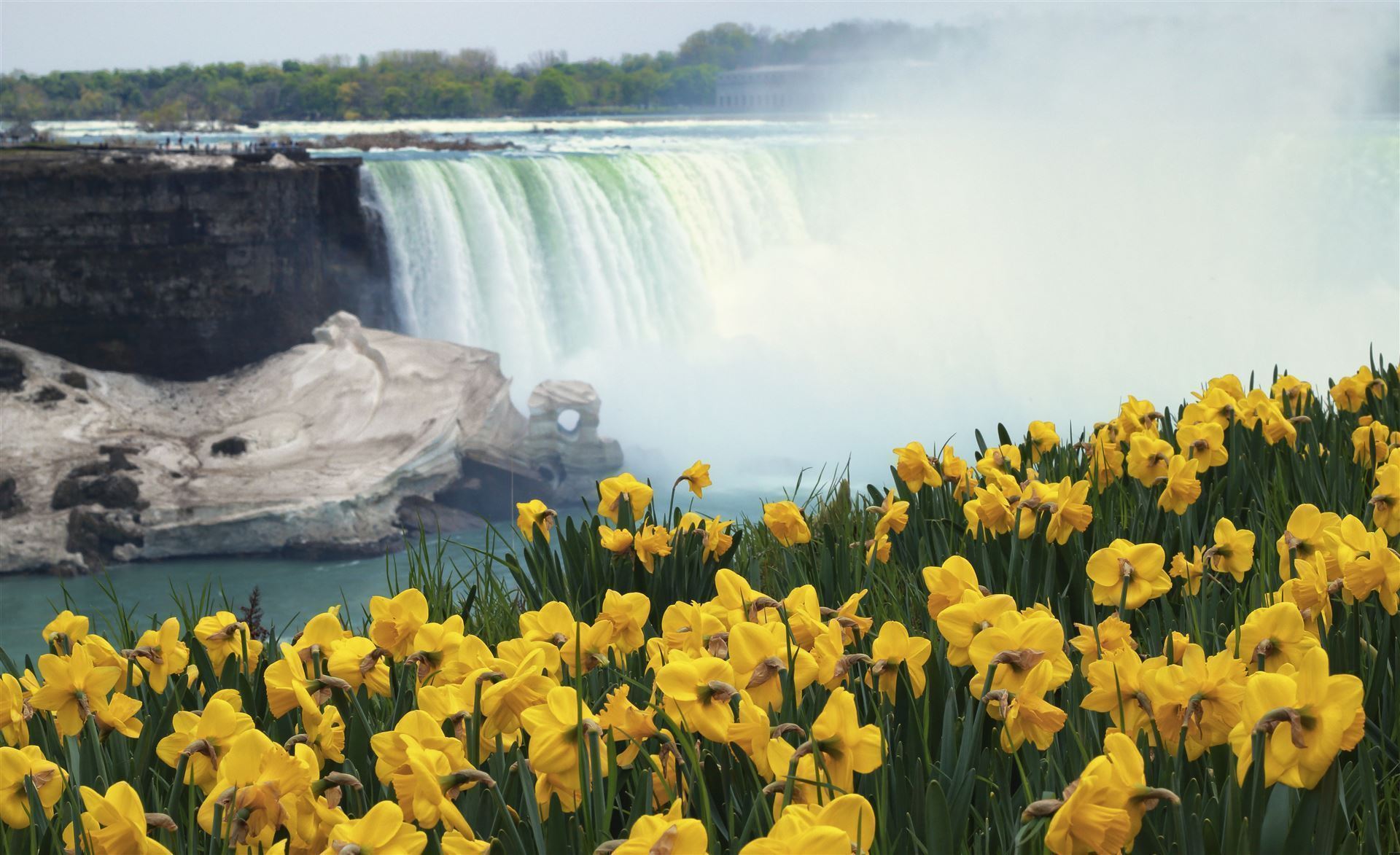 Niagara Fälle