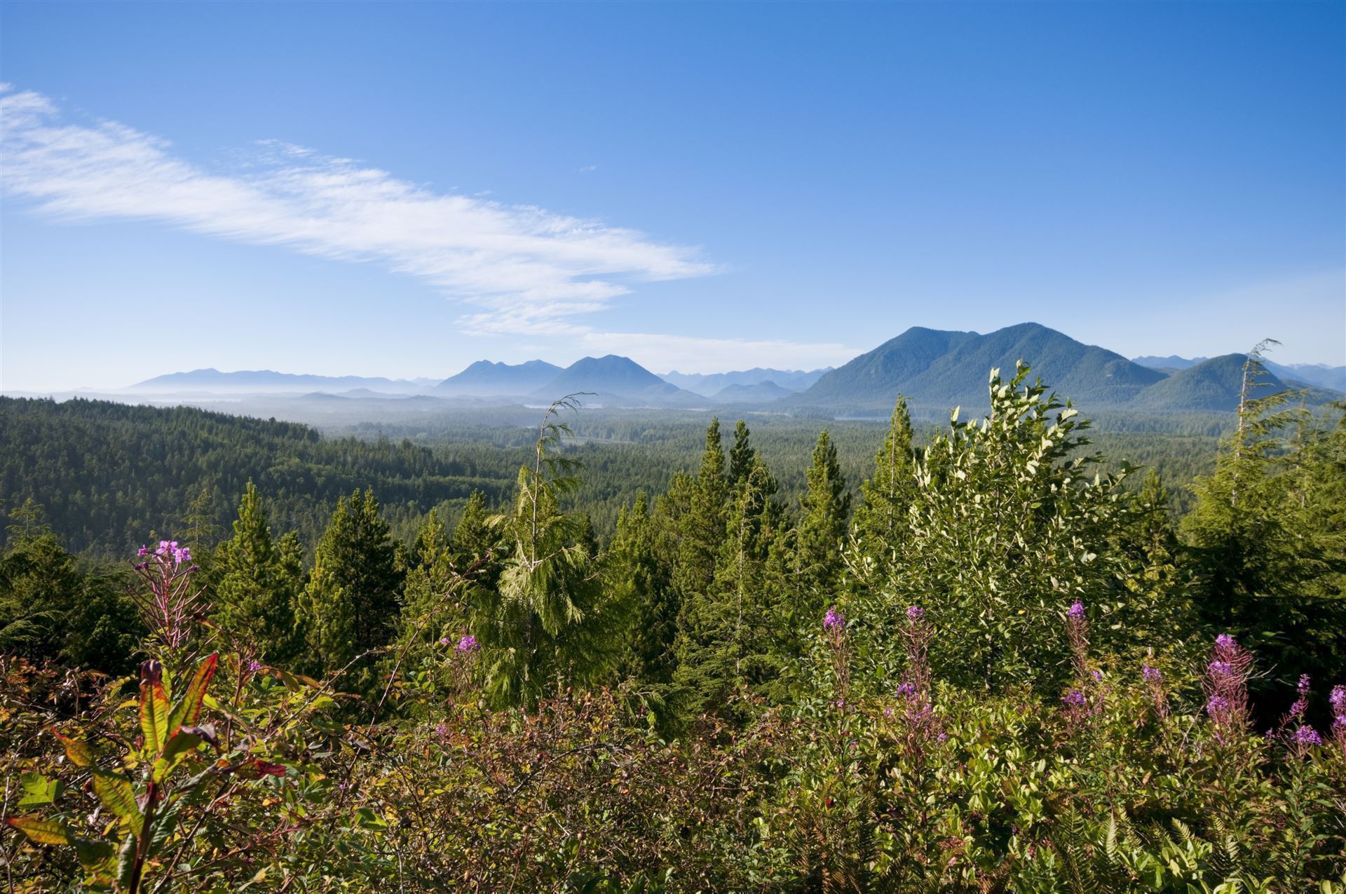 Ausblick vom Radar Hill