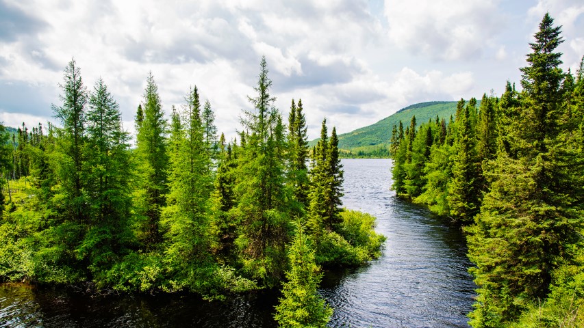 Grands Jardins Nationalpark
