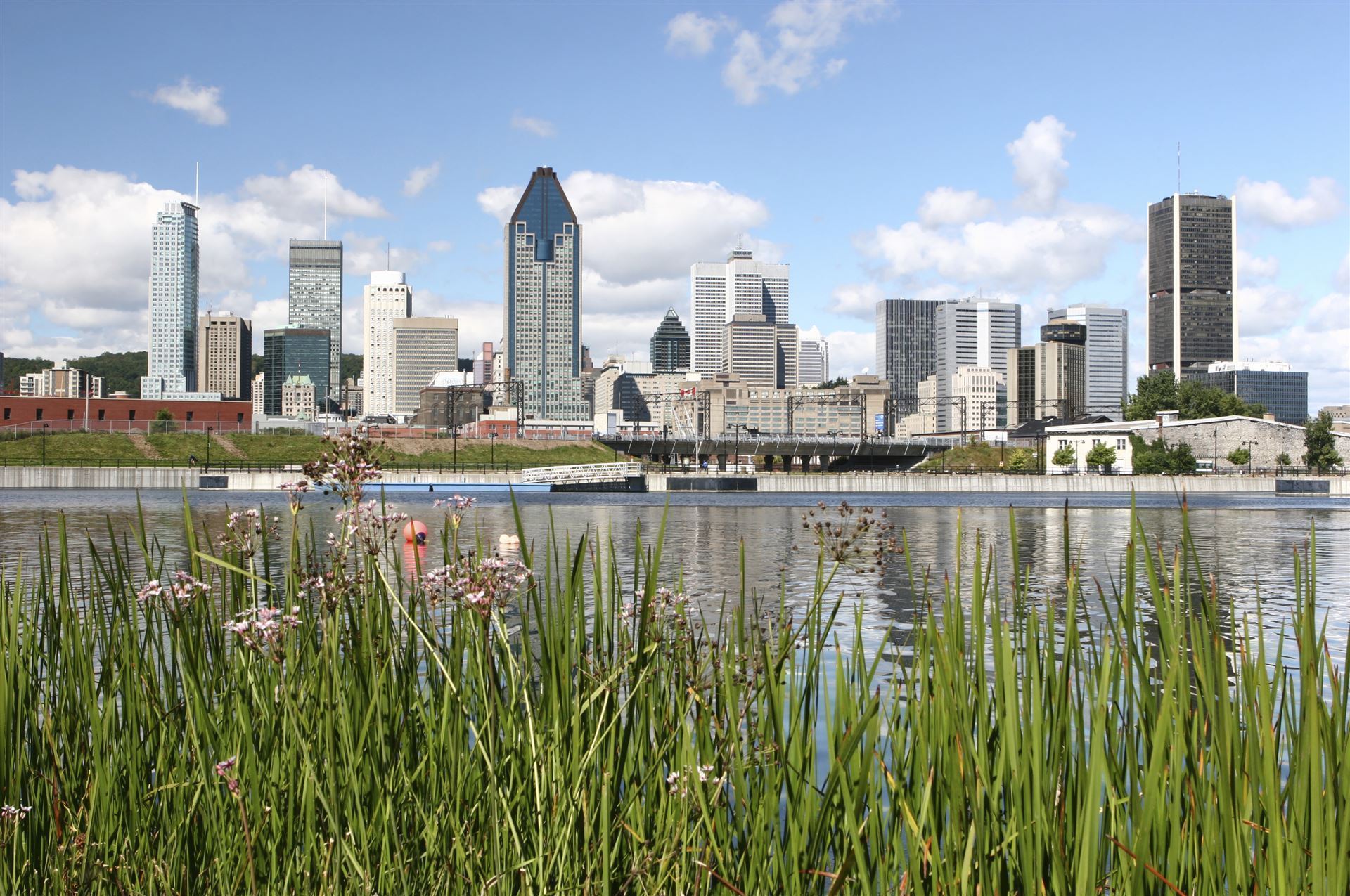 Montreal Skyline