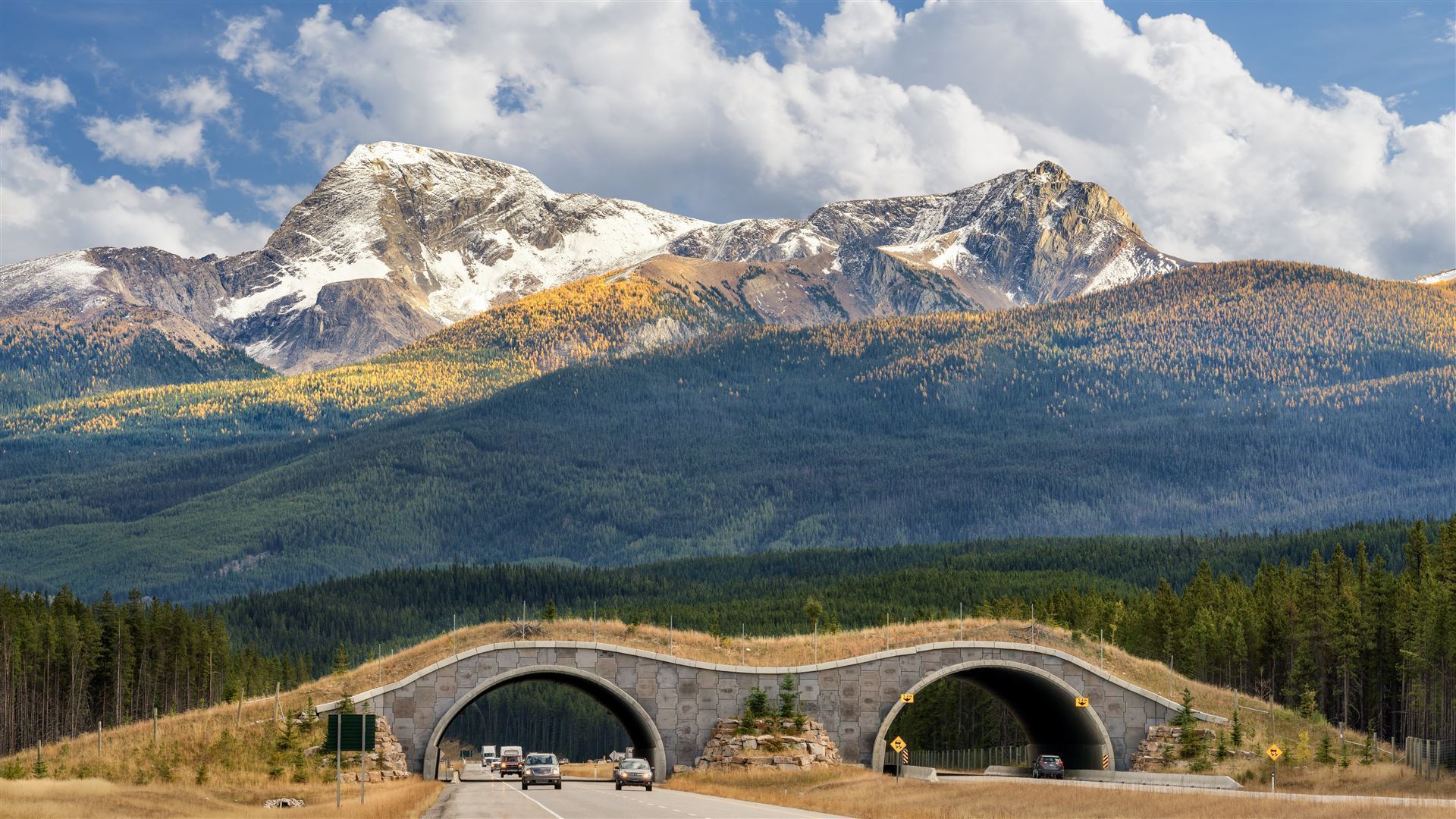 Herbst im Banff Nationalpark auf dem Trans Kanada Highway