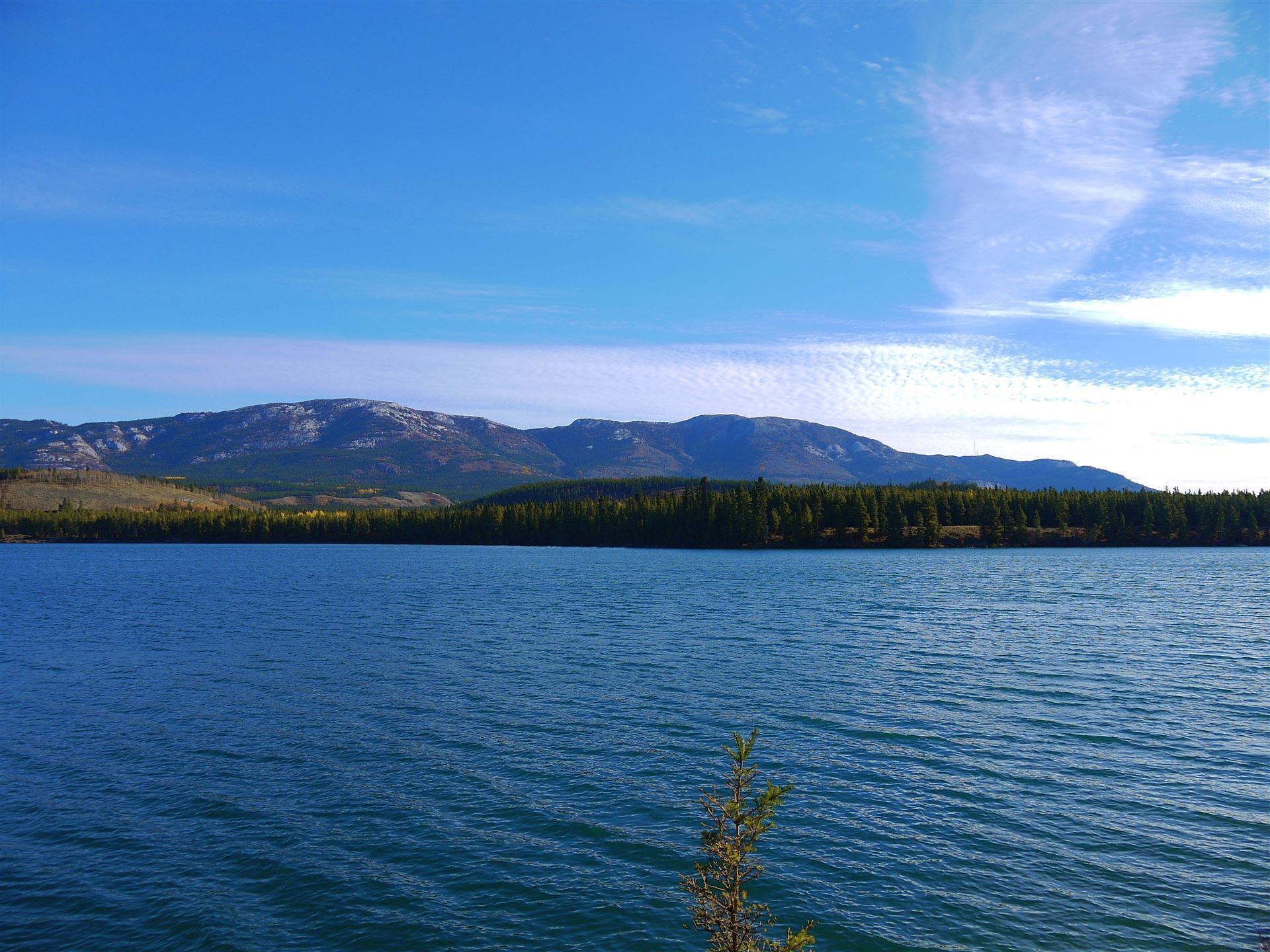Impressionen vom Yukon River