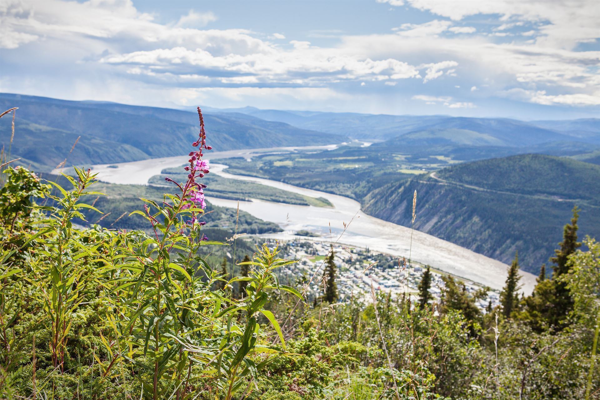 Aussicht auf Dawson City am Yukon River vom Midnight Dome