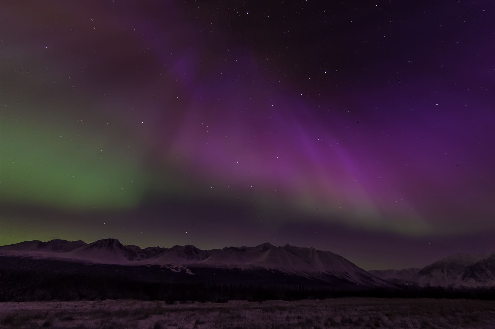 Nordlichter im Kluane Nationalpark