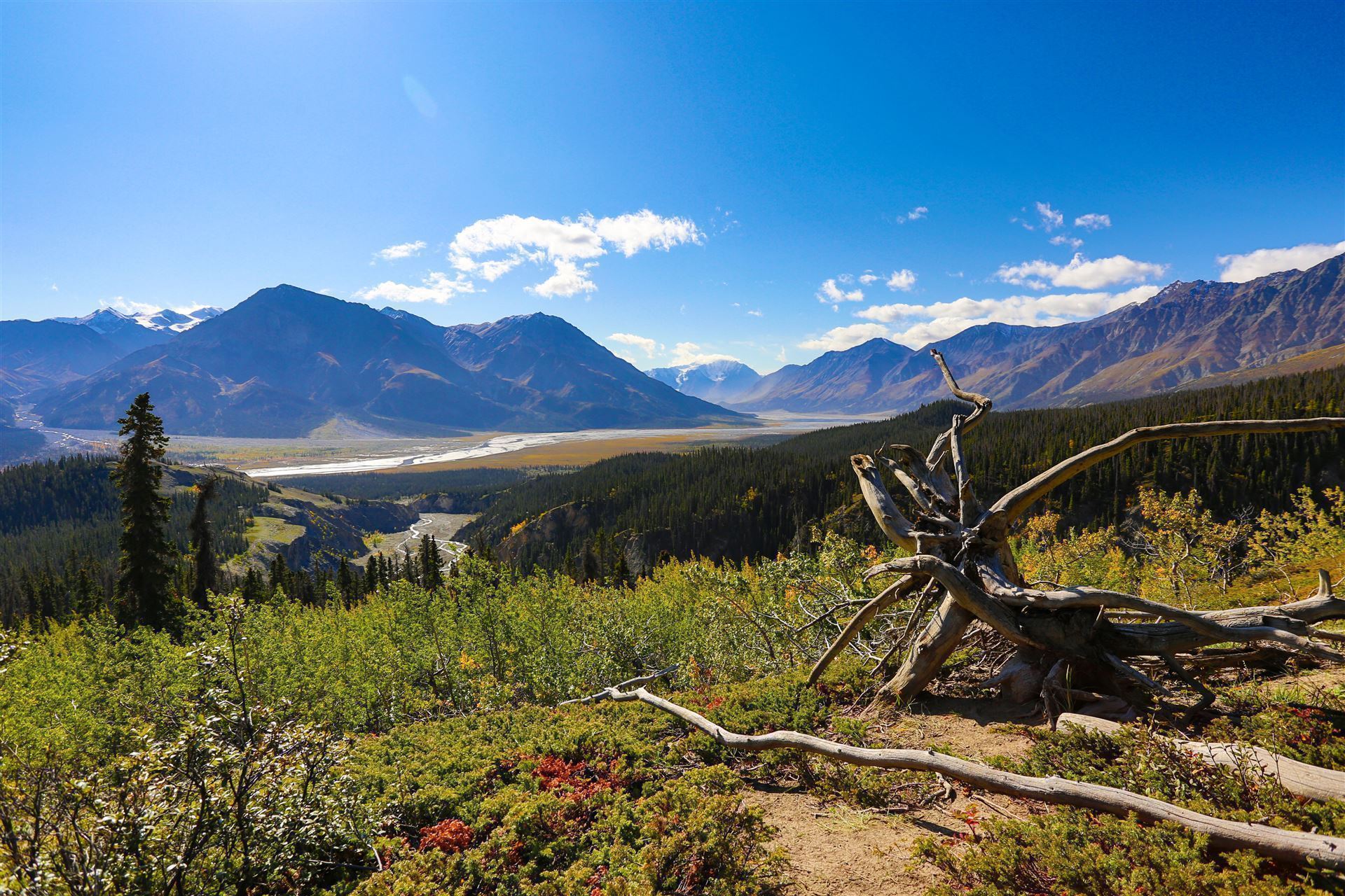 Impressionen aus dem Kluane Nationalpark