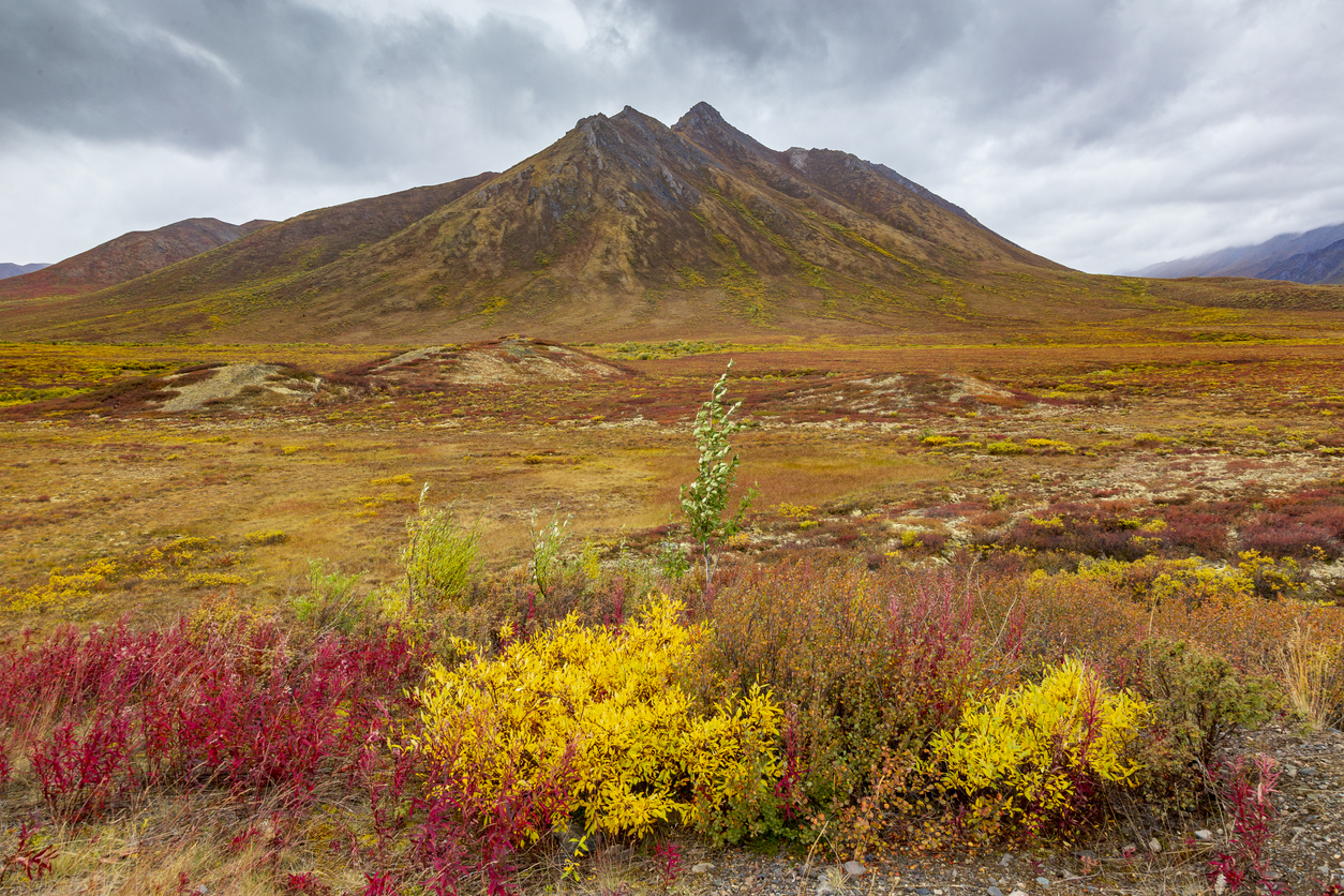 Tombstone Park im Herbst