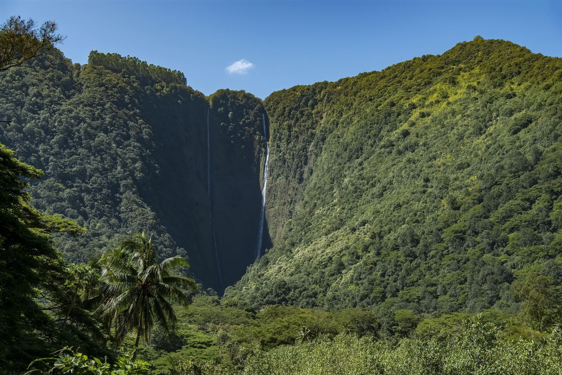 Hiilawe Falls im Waipio Valley