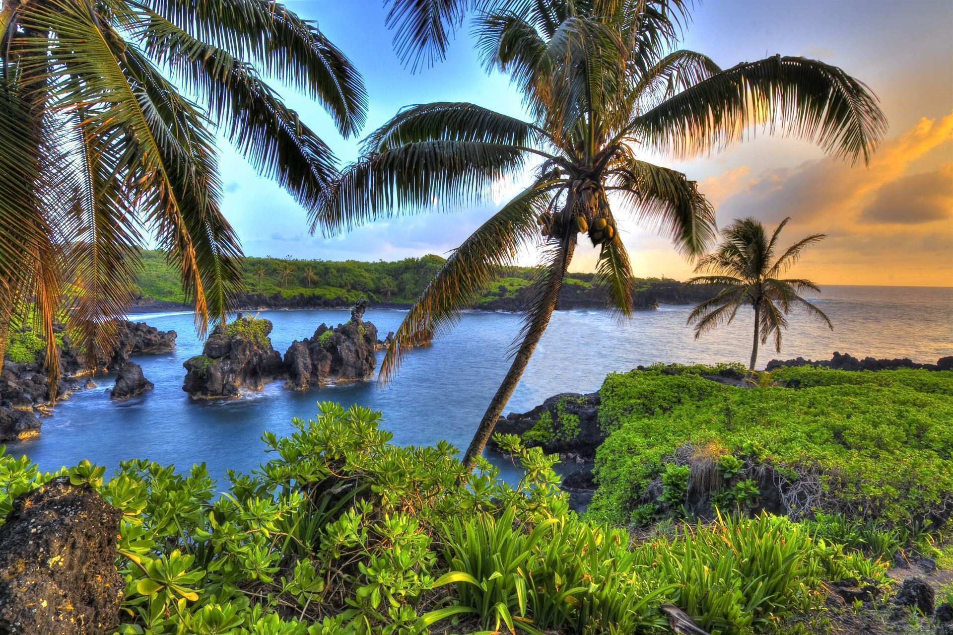 Insel Maui
