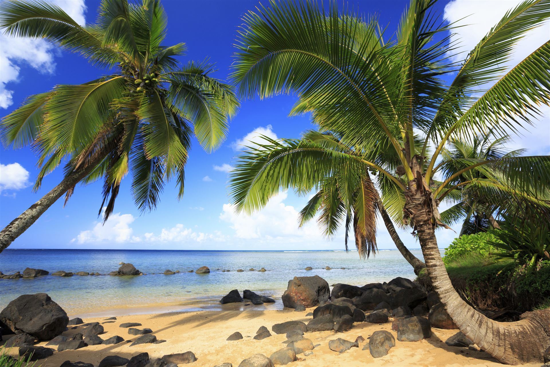 Kauai Strand