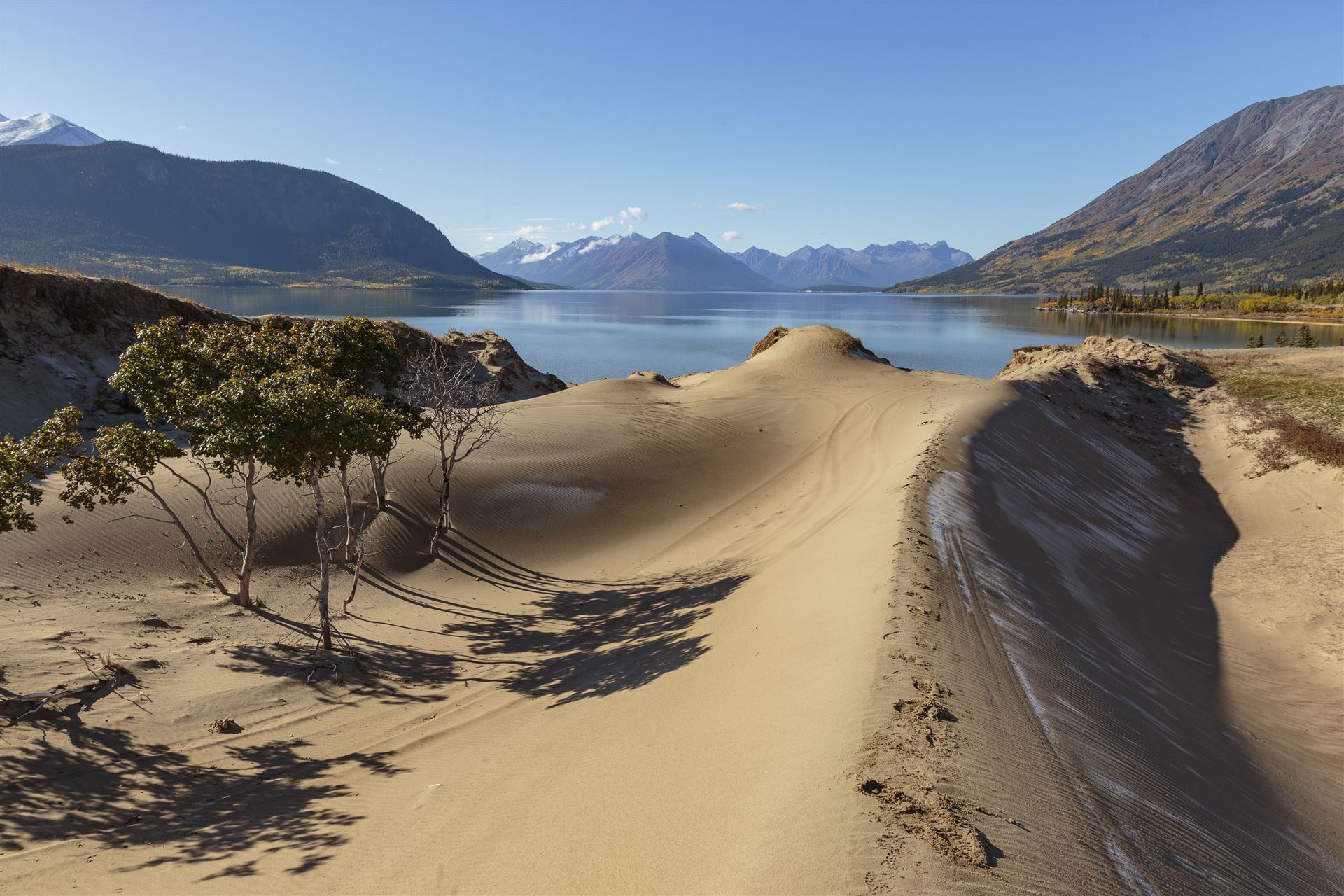 Carcross Desert im Yukon in der Nähe von Skagway