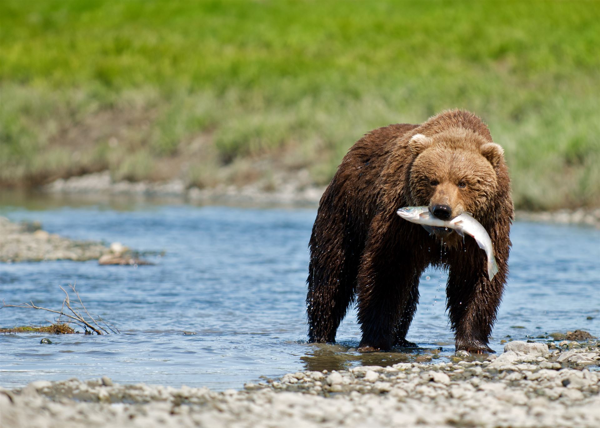Impressionen aus Alaska