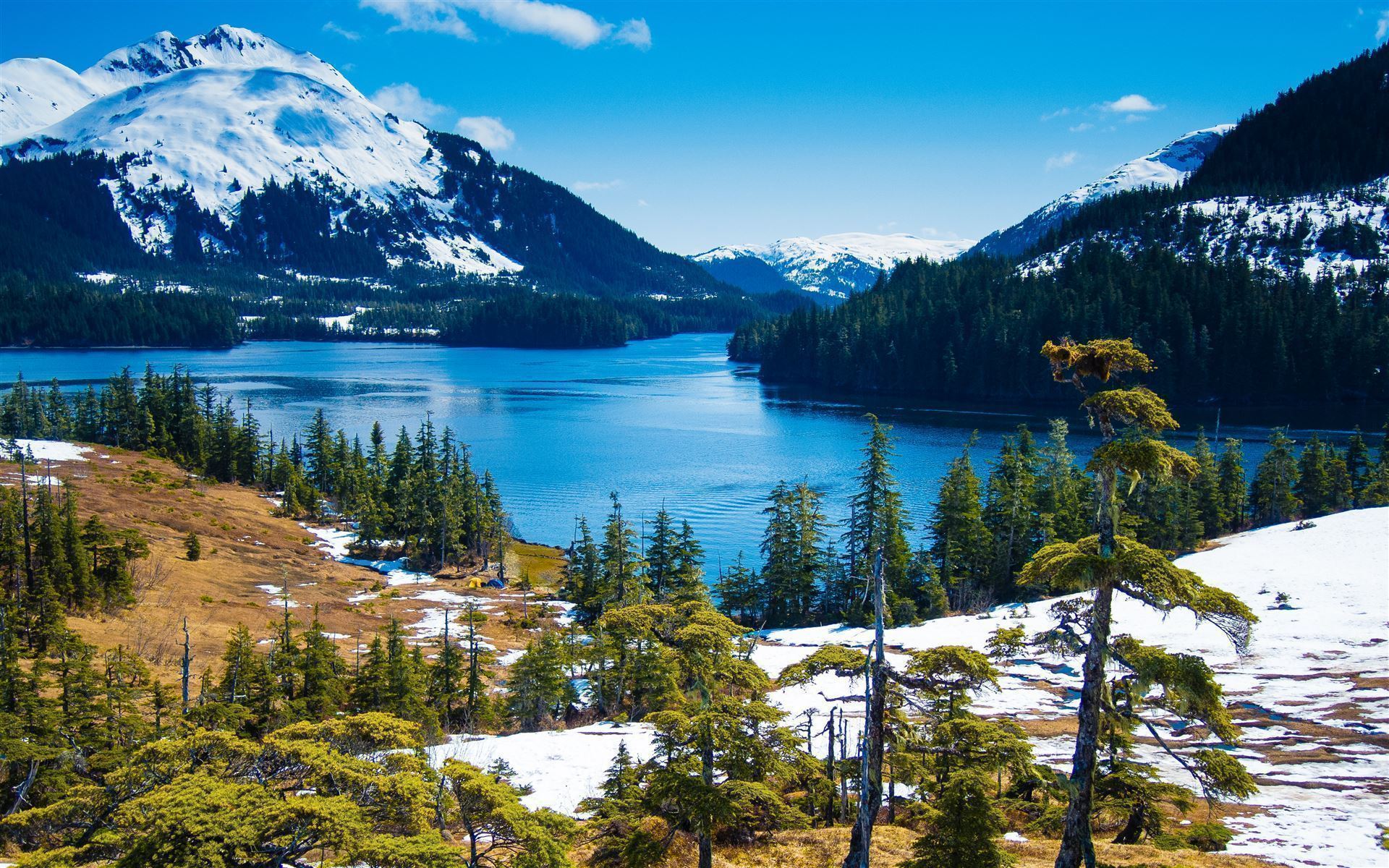 Prince William Sound