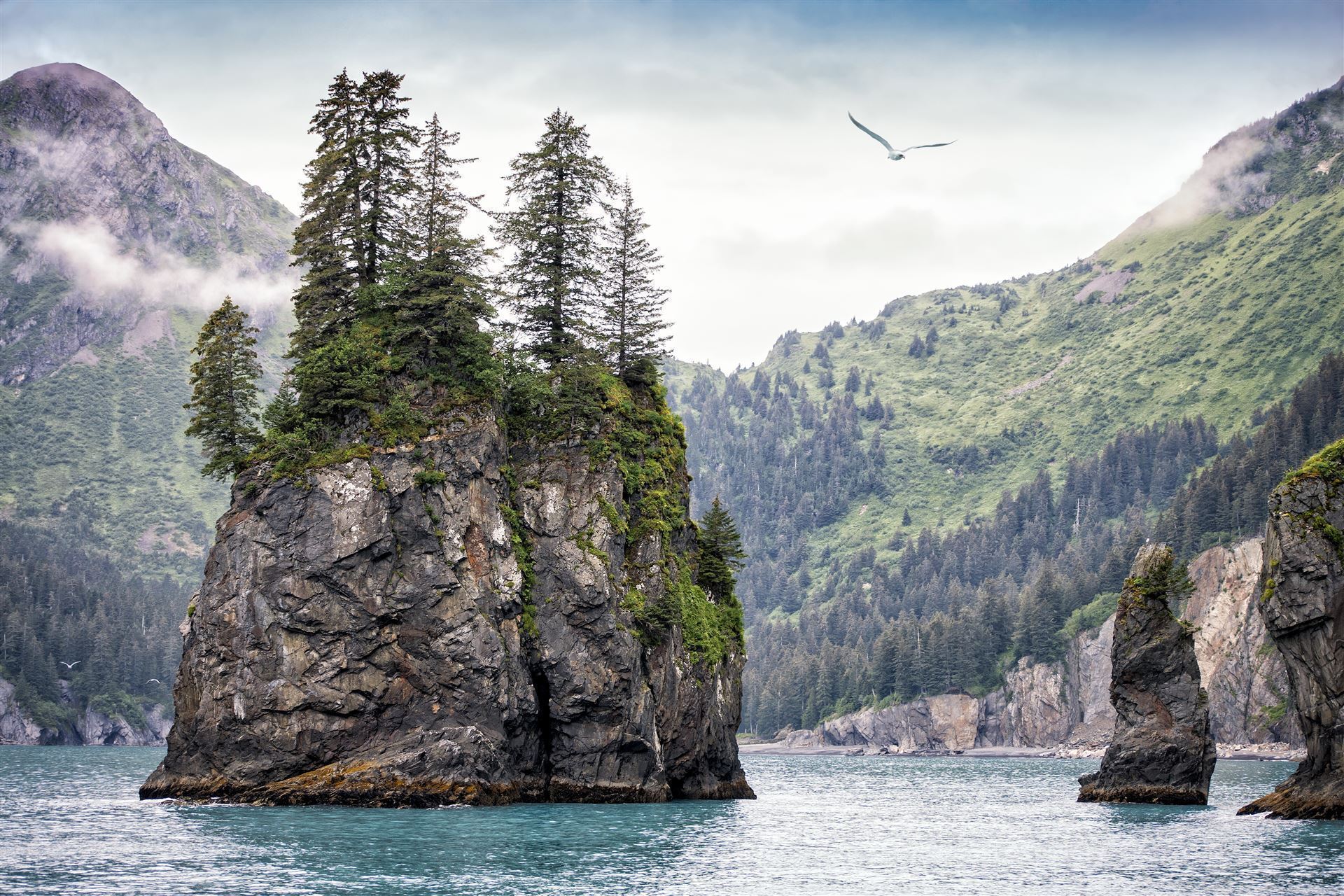 Kenai Fjord Nationalpark bei Seward