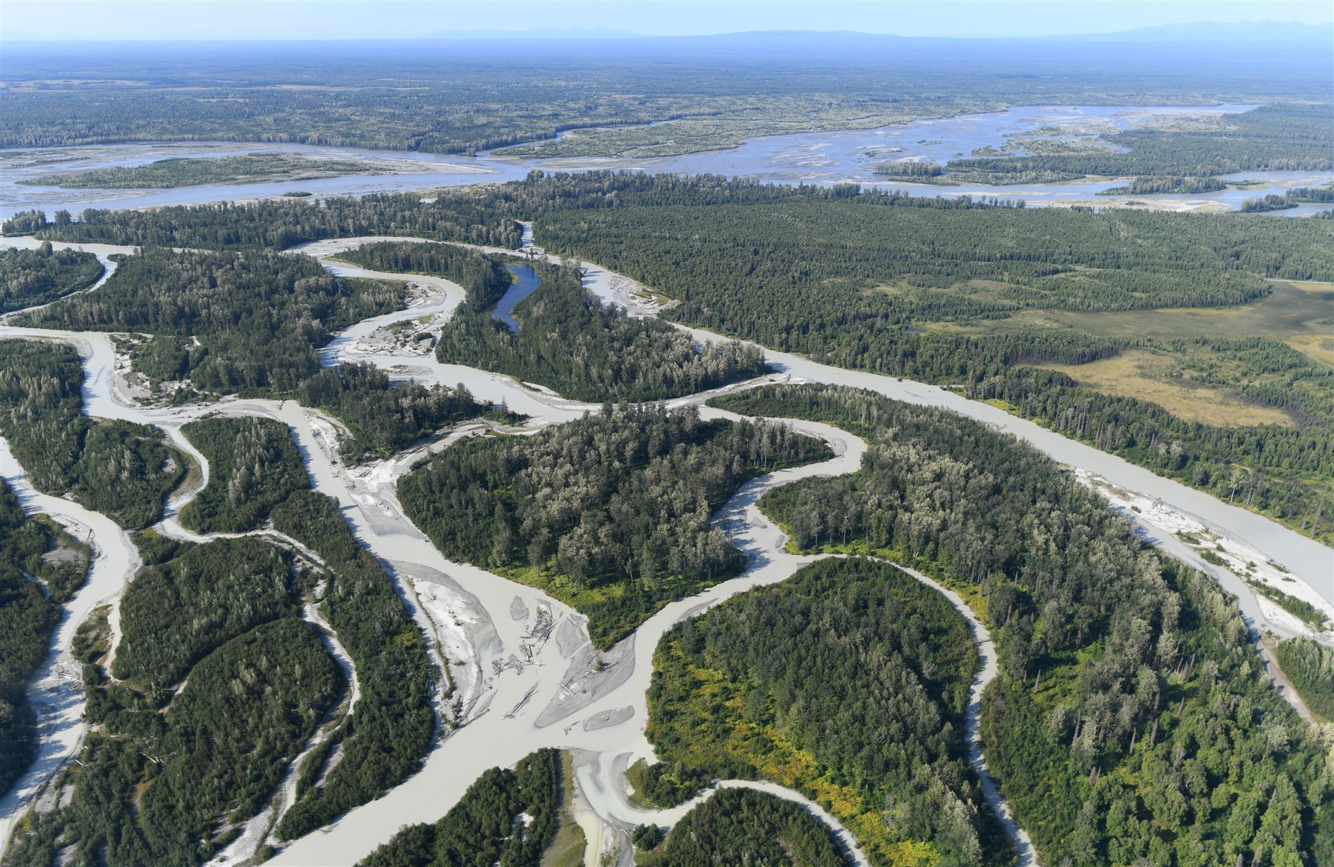Flussarme des Talkeetna River