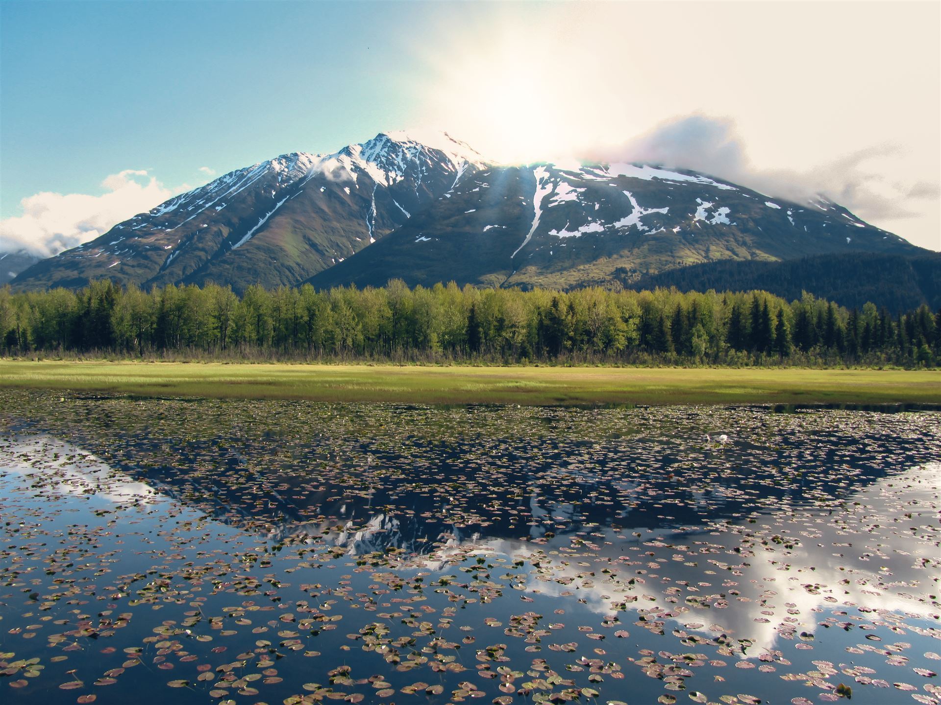 Blick auf die Chugach Mountains